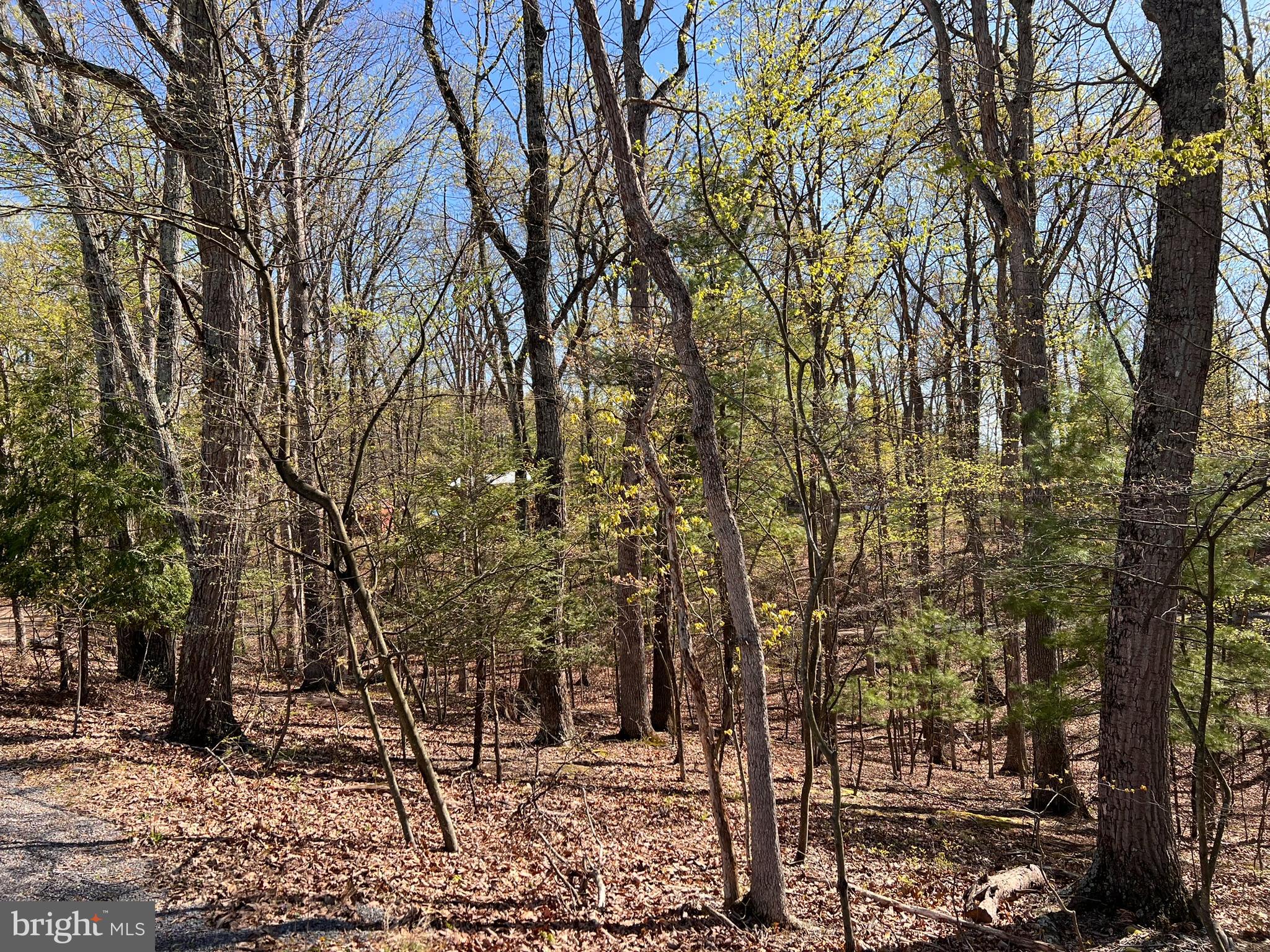 SLEEPY HOLLOW - Land