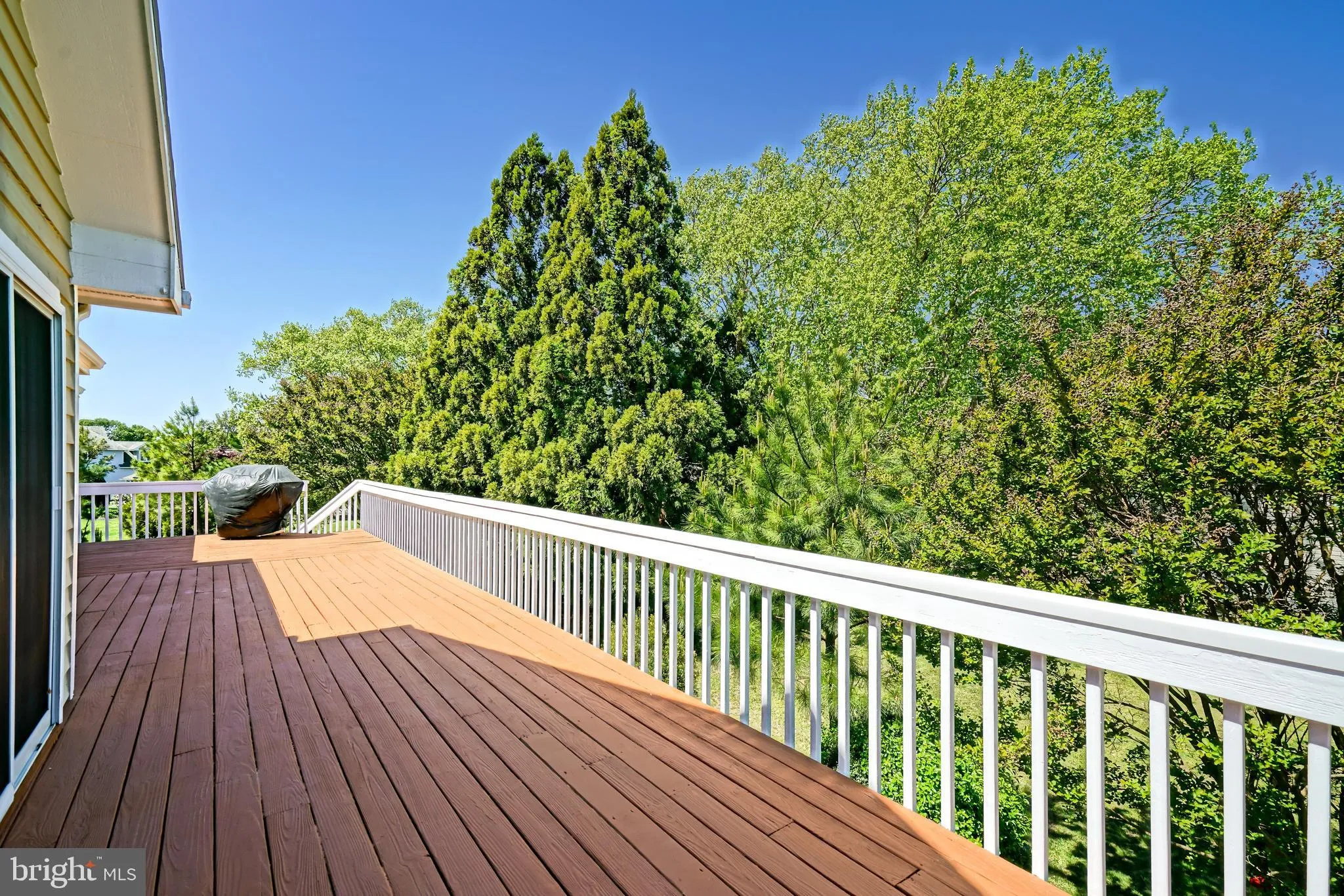 Rehoboth Beach, Delaware 19971, United States, 4 Bedrooms Bedrooms, ,4 BathroomsBathrooms,Residential,Contingent,123227