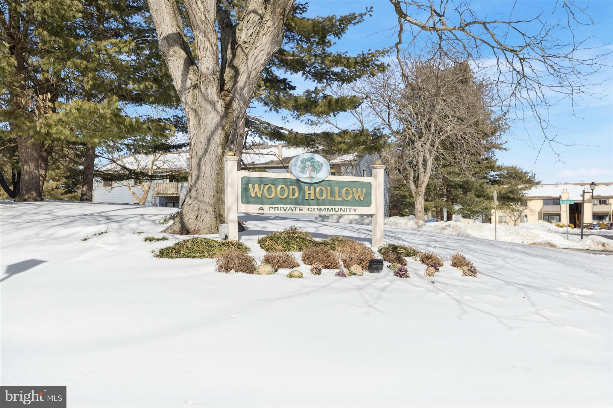 WOOD HOLLOW - Residential