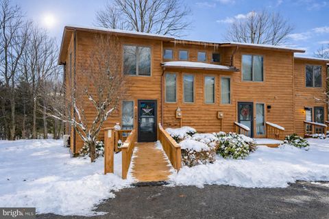 14 LAUREL BROOK DRIVE 14 OAKLAND MD 21550