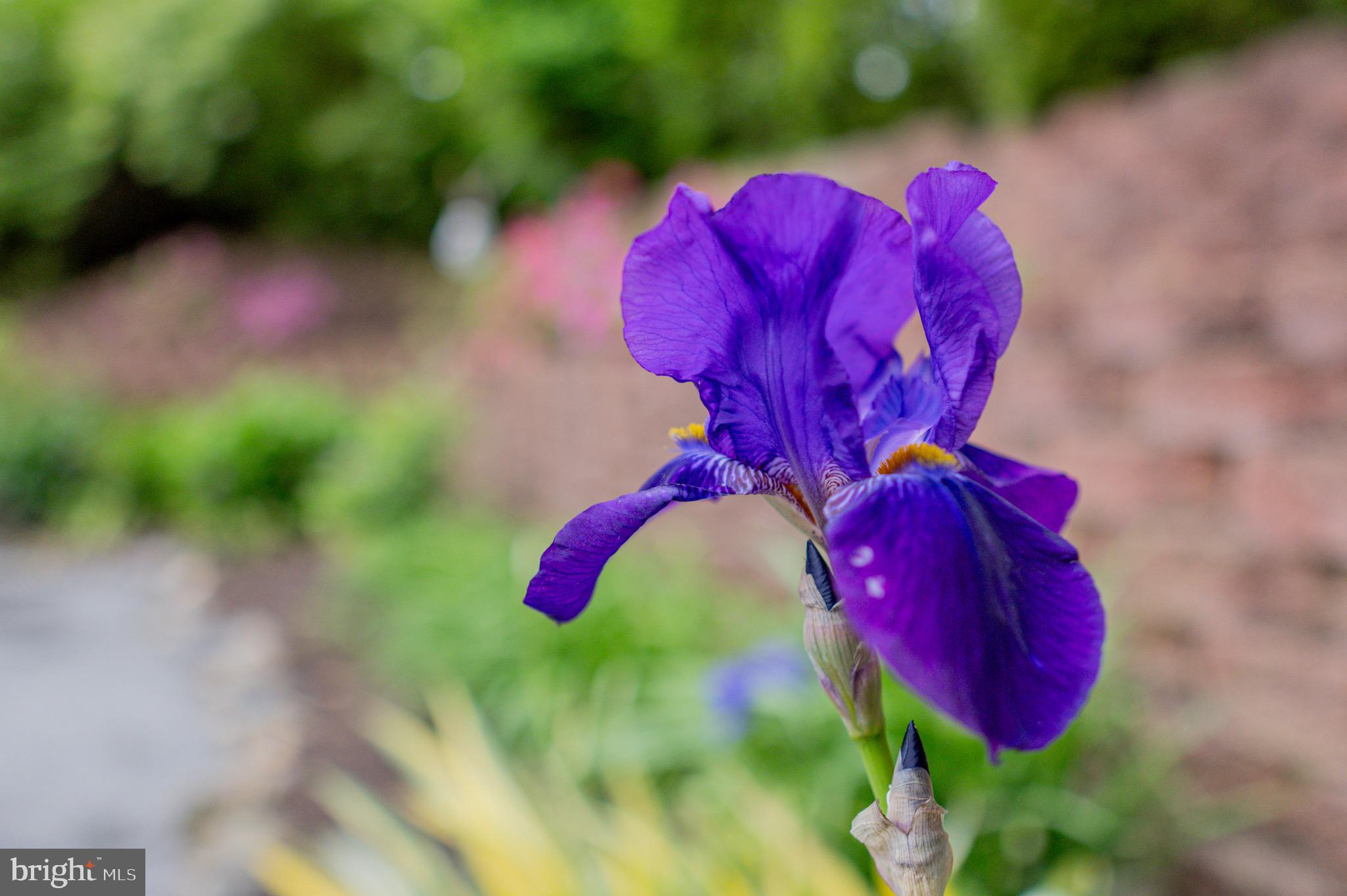 FENBY FARM - Residential