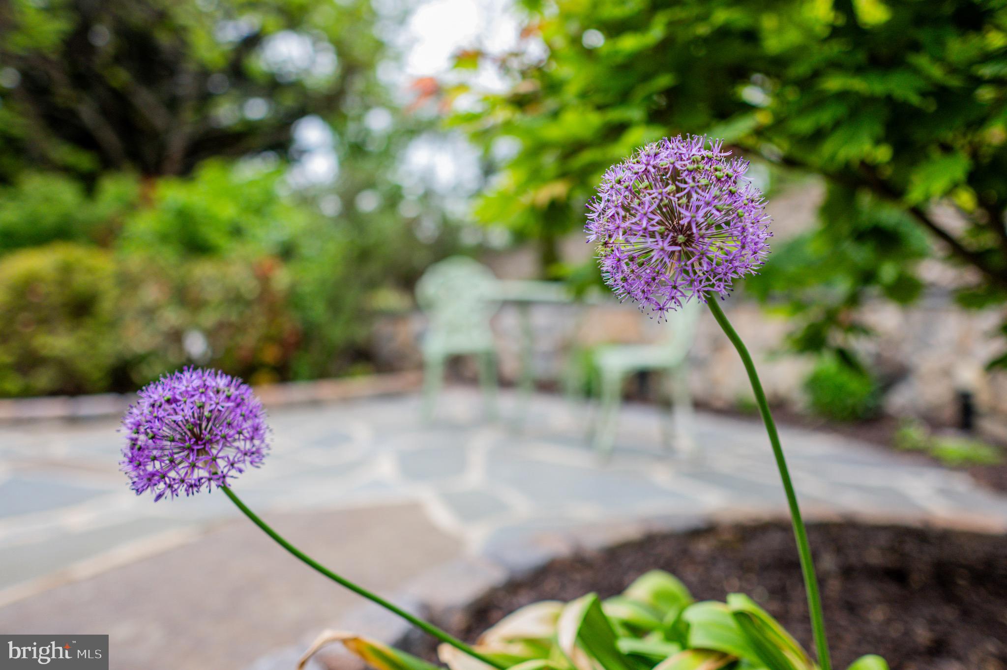 FENBY FARM - Residential