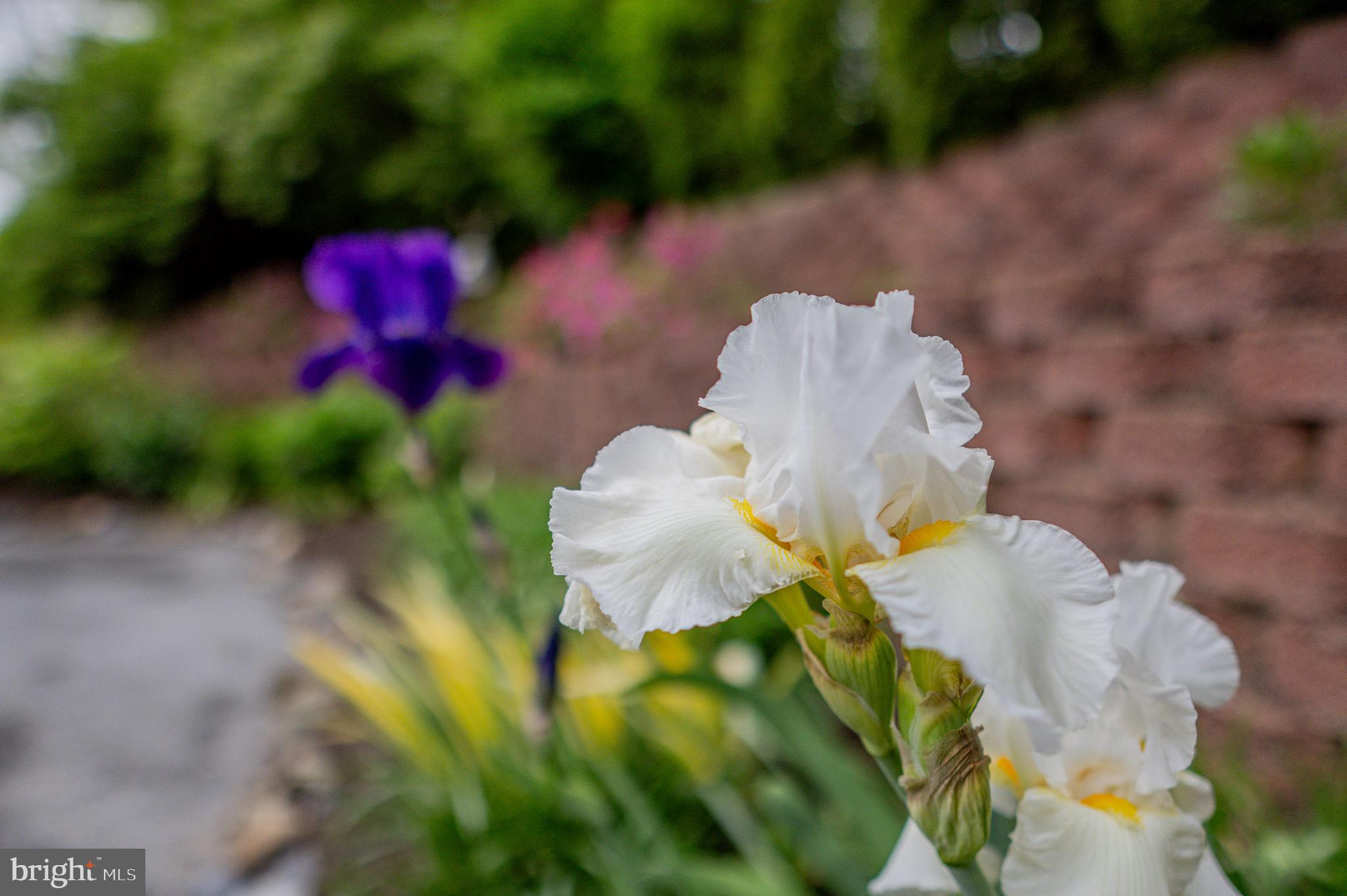 FENBY FARM - Residential