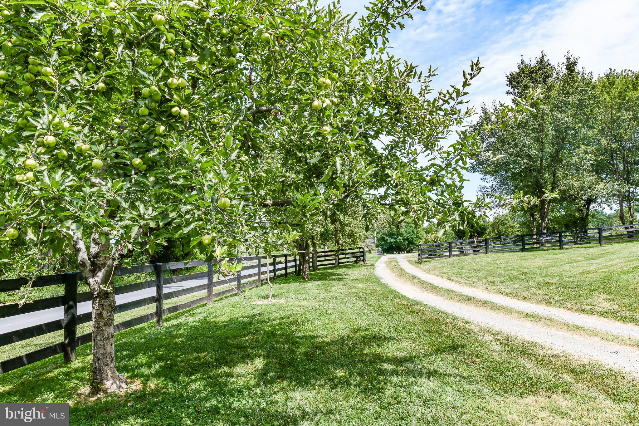 GREEN HILL FARM - Residential Lease