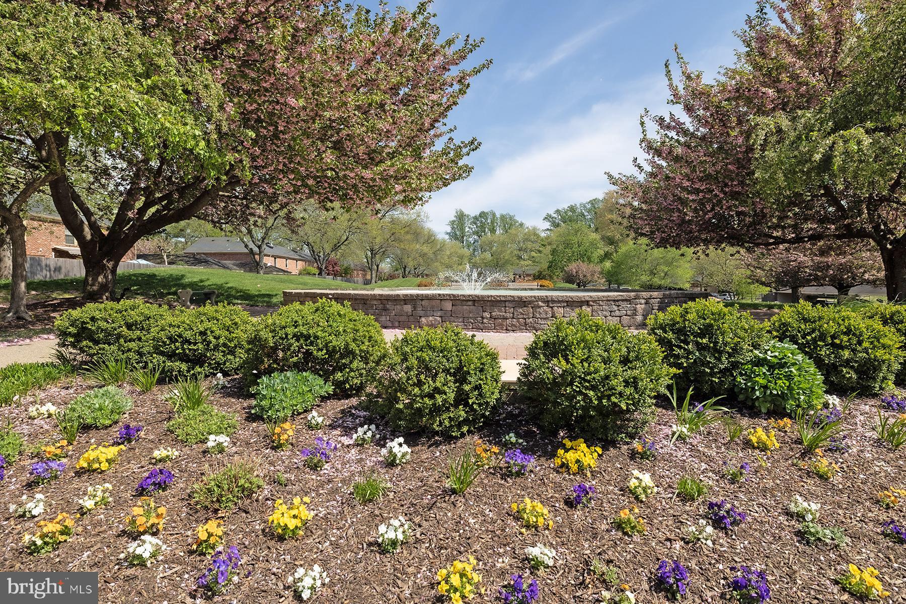 GEORGETOWN OF PHIL - Residential