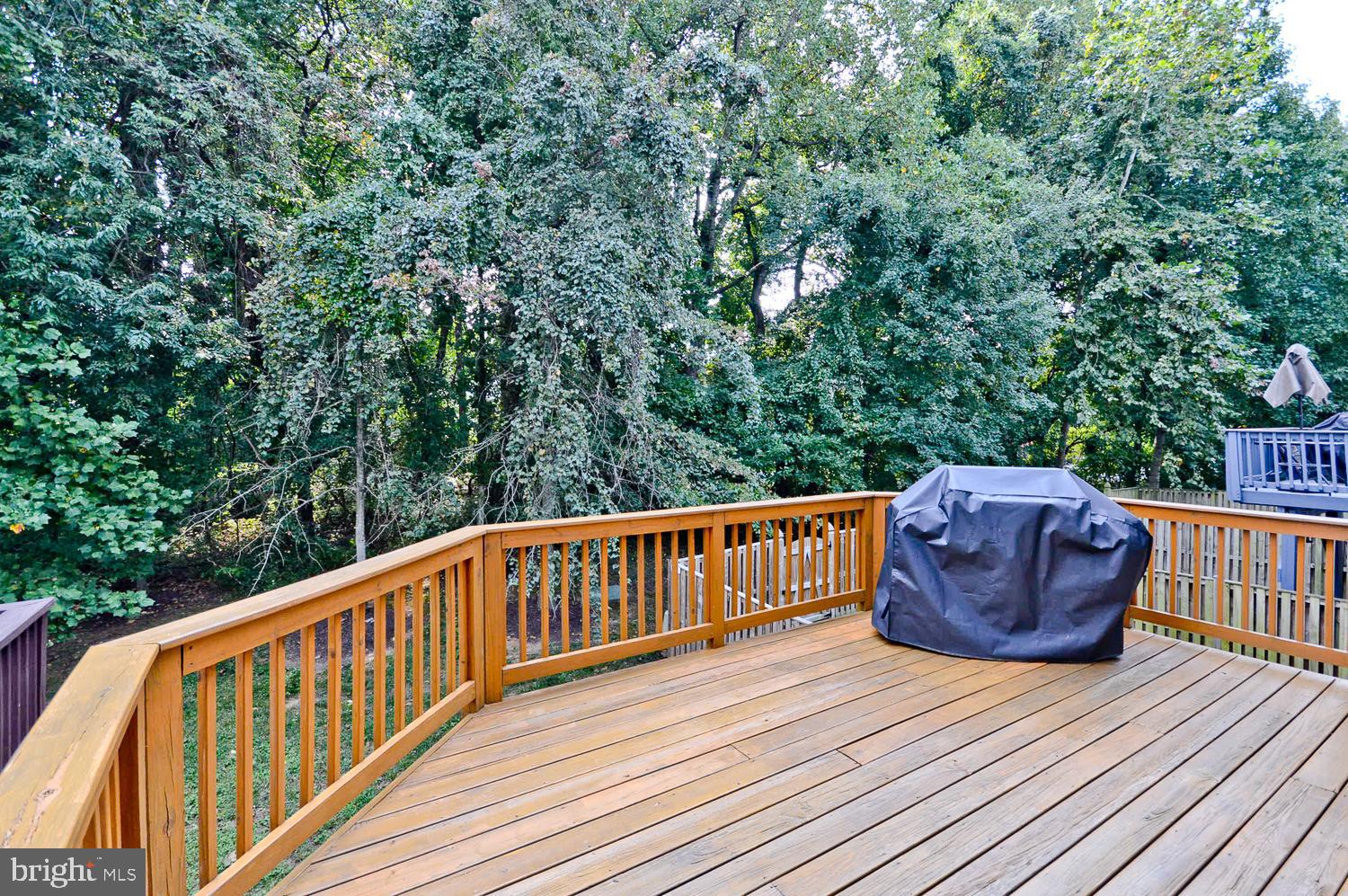 BELLEHAVEN ESTATES - Residential