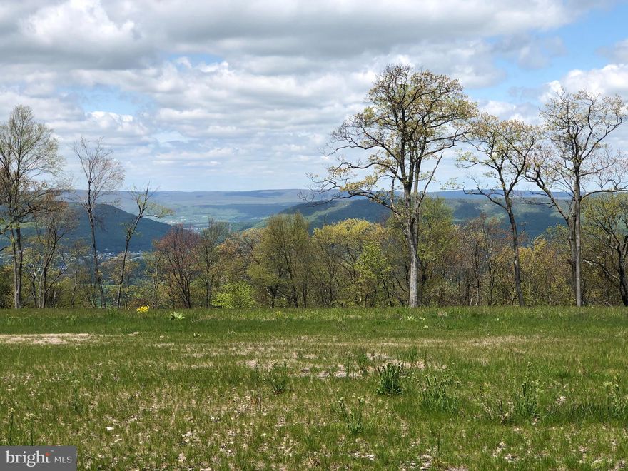Looking to build your dream cabin or home in an amazing location that you don't find every day?  This outstanding 535-acre parcel that is very secluded yet only 30 miles from State College has a lot to offer. The property has paths, springs, food plots, and mature woods. There is a large cleared area with unrivaled 360-degree views at the top of the well-maintained driveway. Or skip the driveway and access the property by the personal runway! Borders state land on two sides and has a lot of timber value.  There is a good perc test and a well.  This is a place that you don't want to miss.