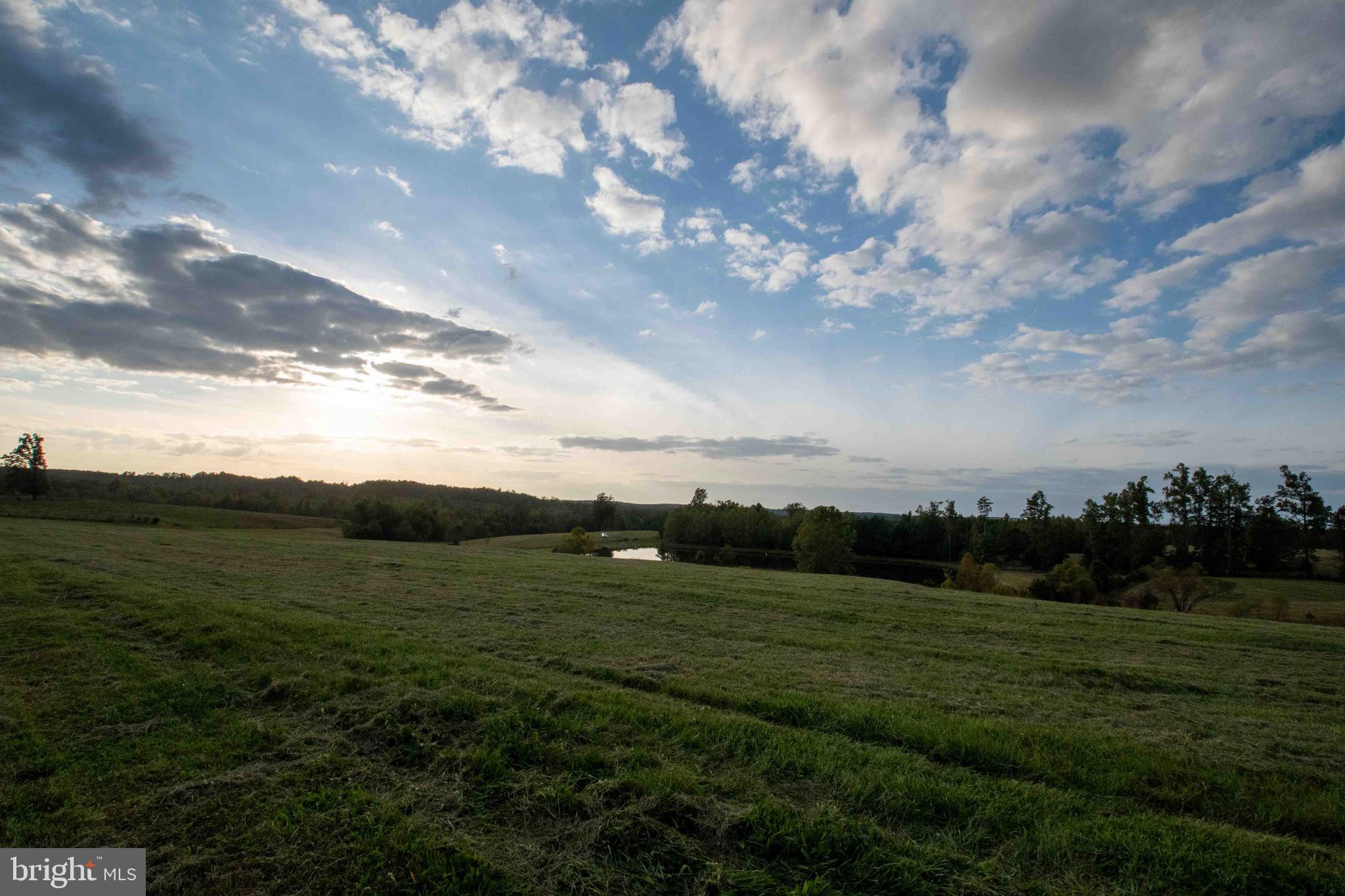 NONE AVAILABLE - Farm