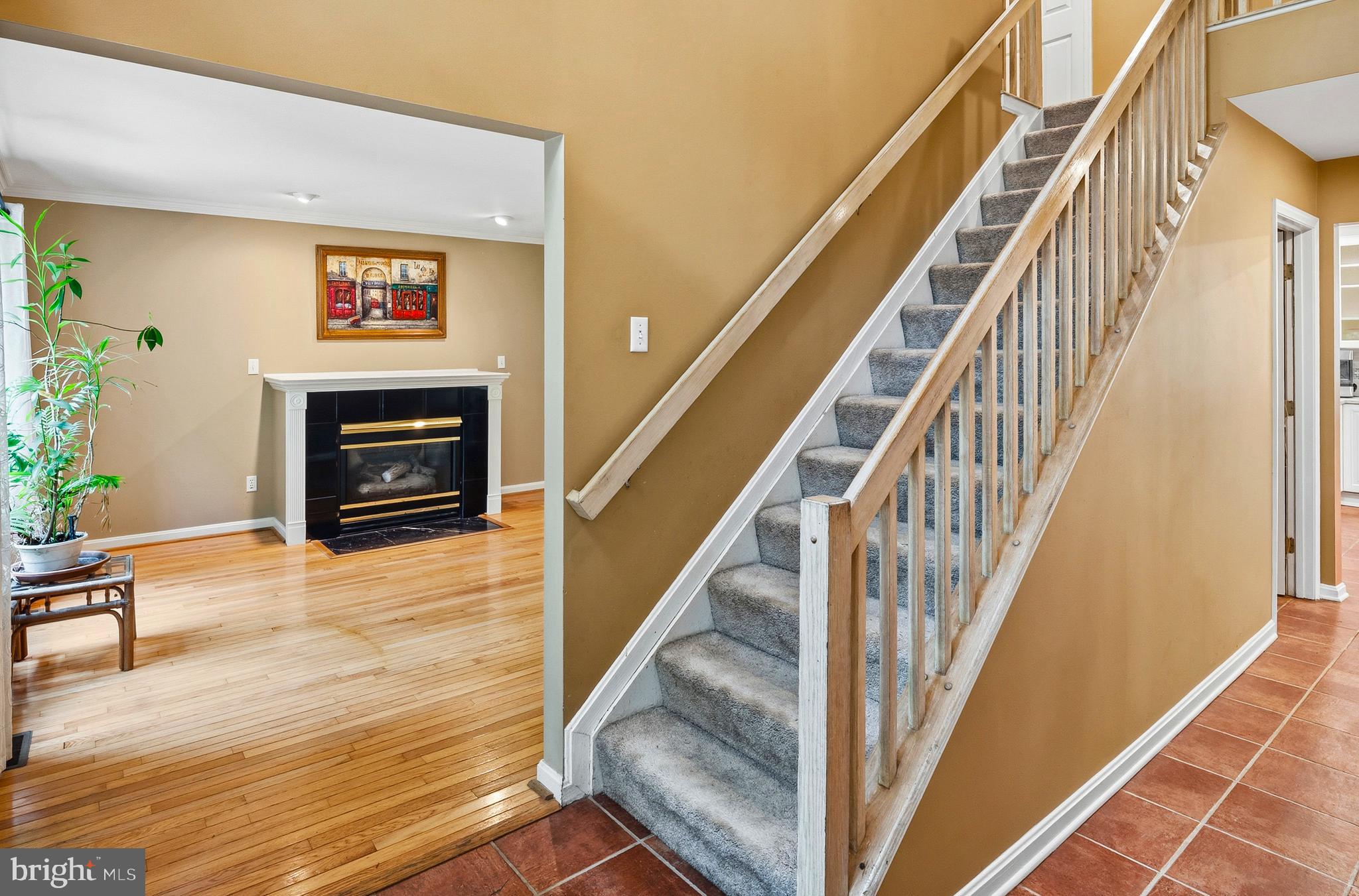 WINDEMERE ACRES - Residential