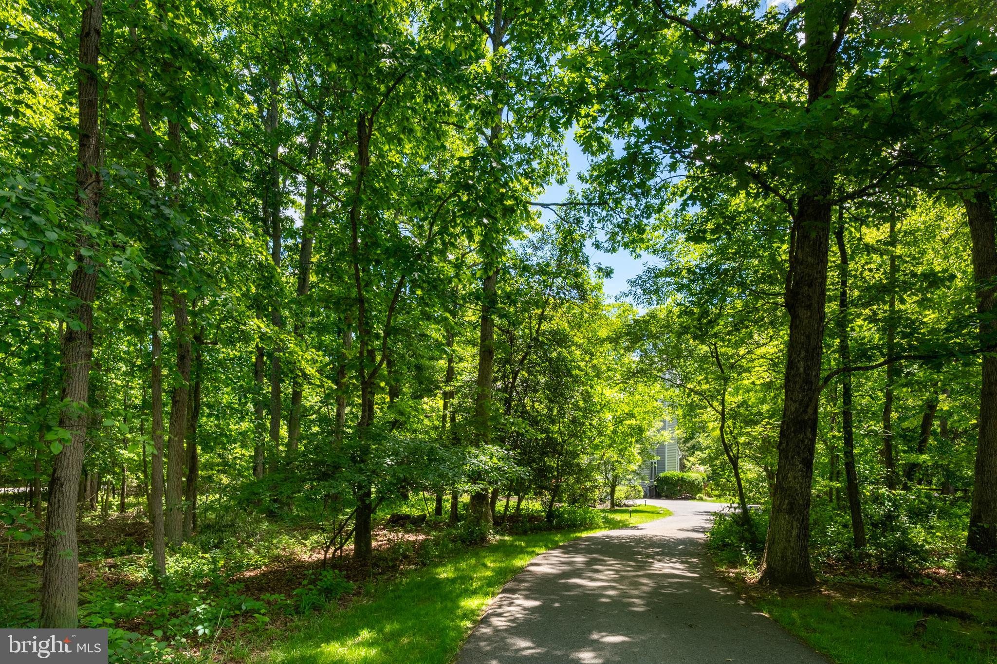 WINDEMERE ACRES - Residential