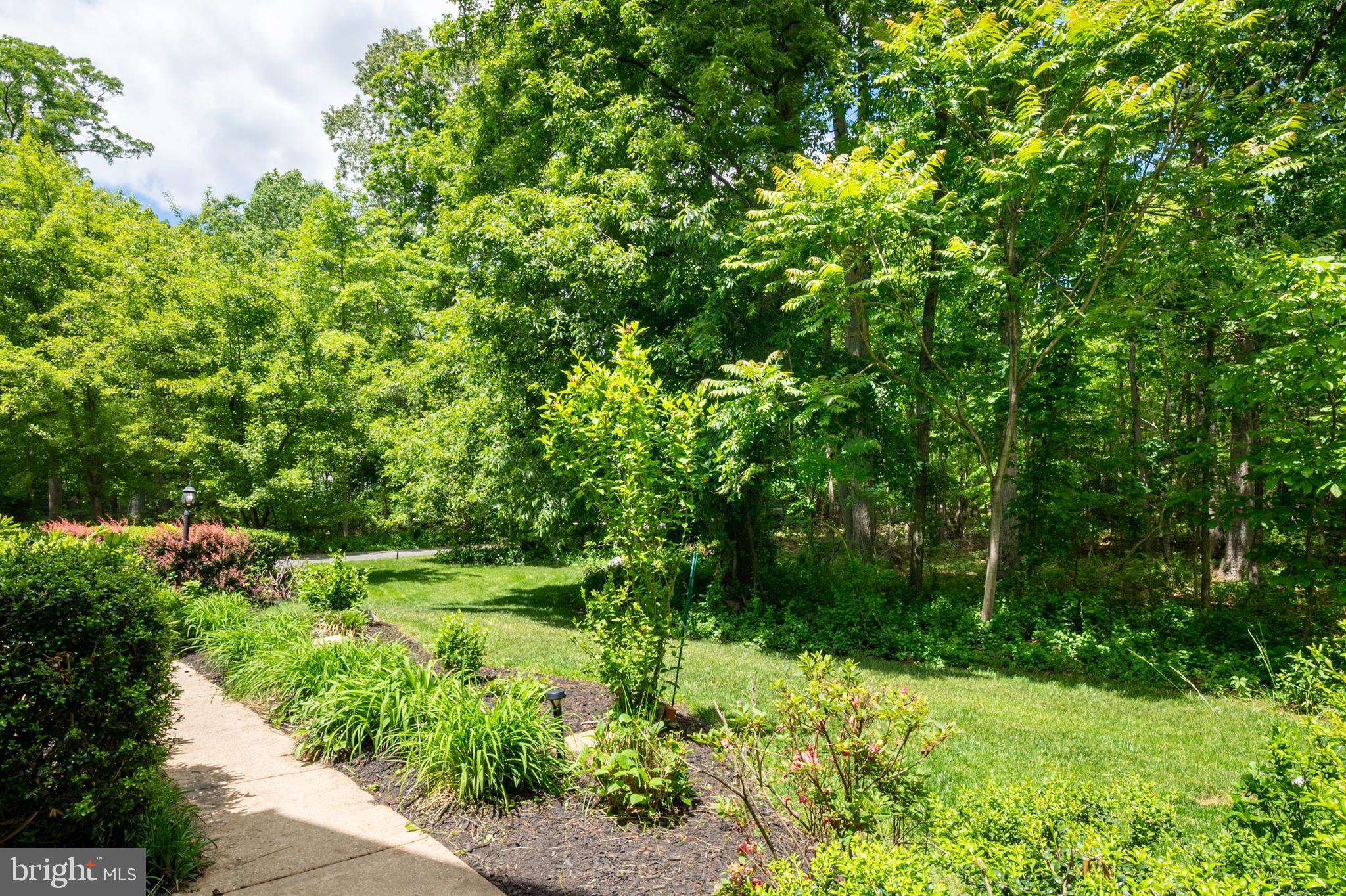 WINDEMERE ACRES - Residential