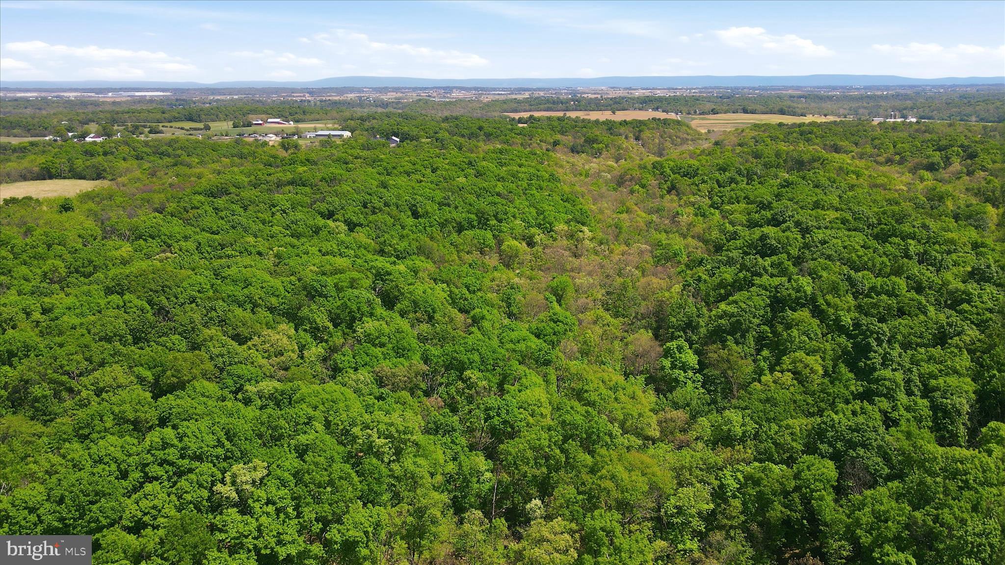6512 BINO ROAD LOT 4