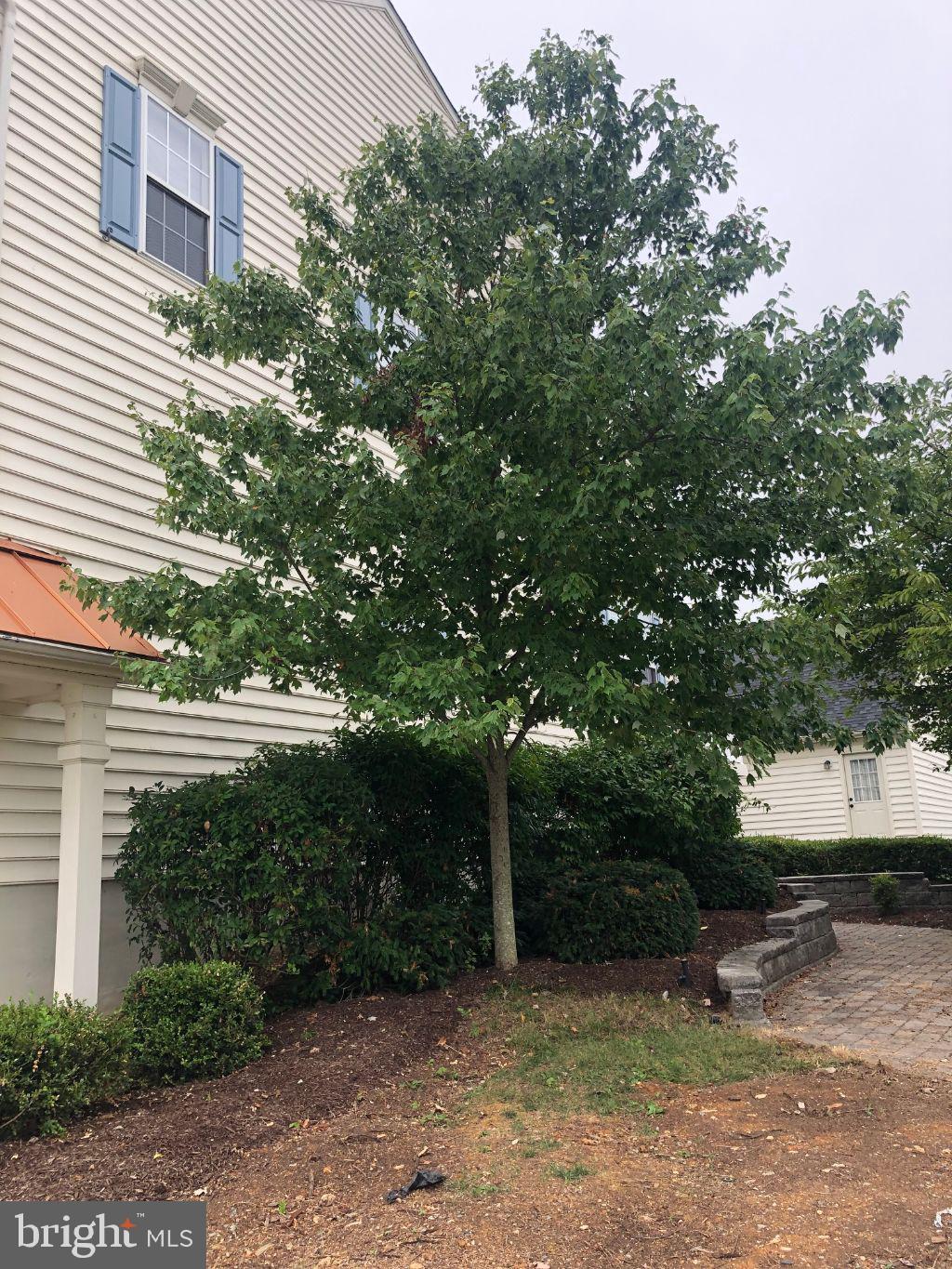 HUNTFIELD - Residential Lease