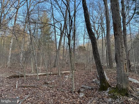 Vacant Land For Sale - LOT 90A91A129130131 Vesey Drive<br/> Warren County, FRONT ROYAL, VA 22630