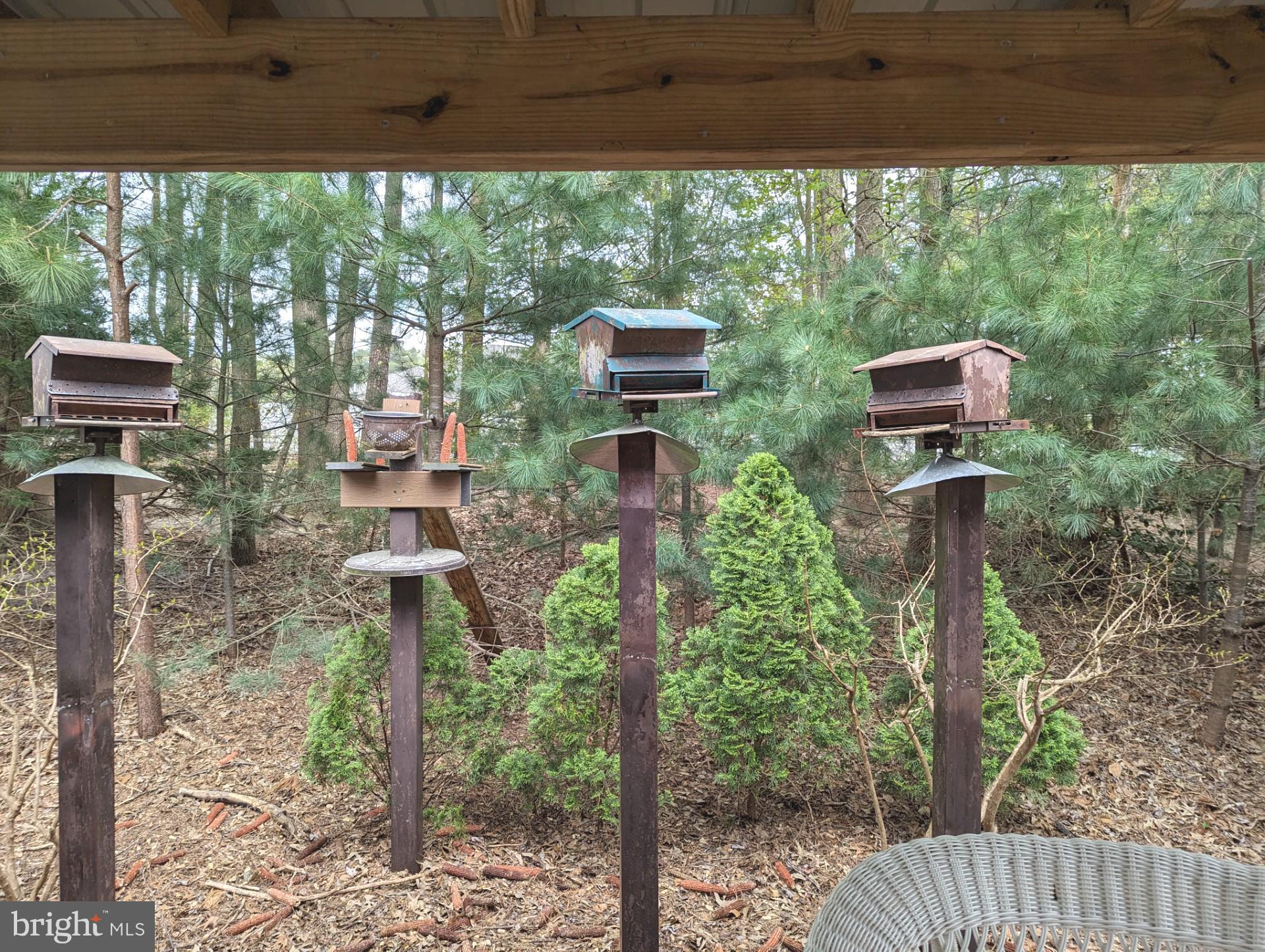 SPRING CHASE - Residential