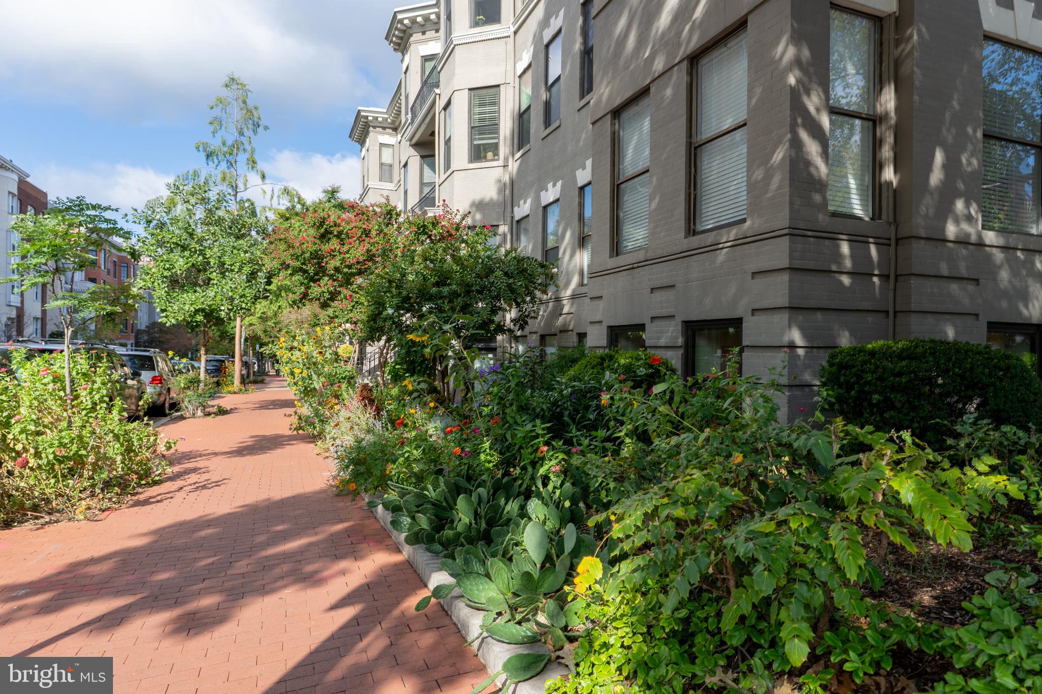 2101 N STREET NW T4