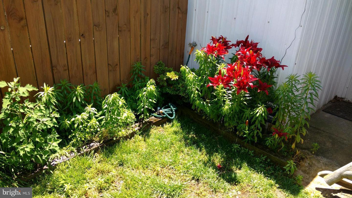 FEDERAL HILL HISTORIC DISTRICT - Residential Lease