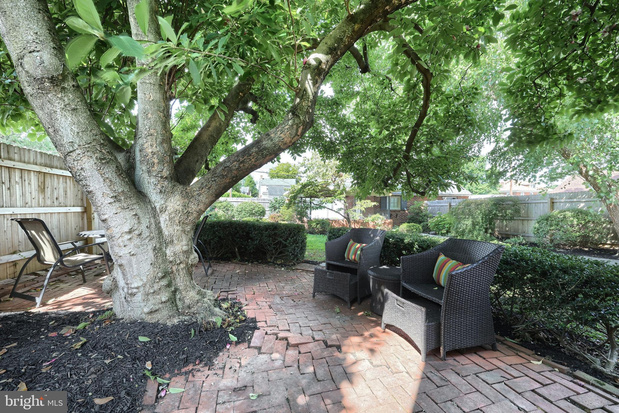 MT ROSE - Residential