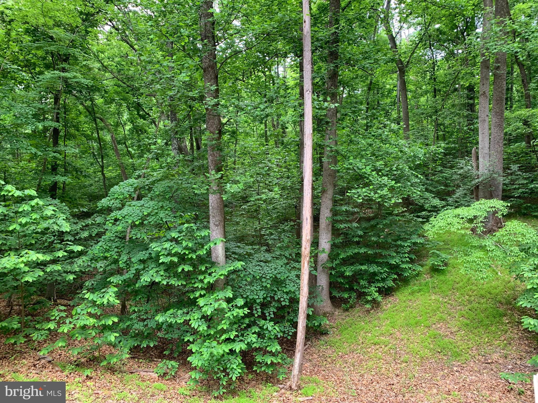 CALMES NECK ESTATES - Residential