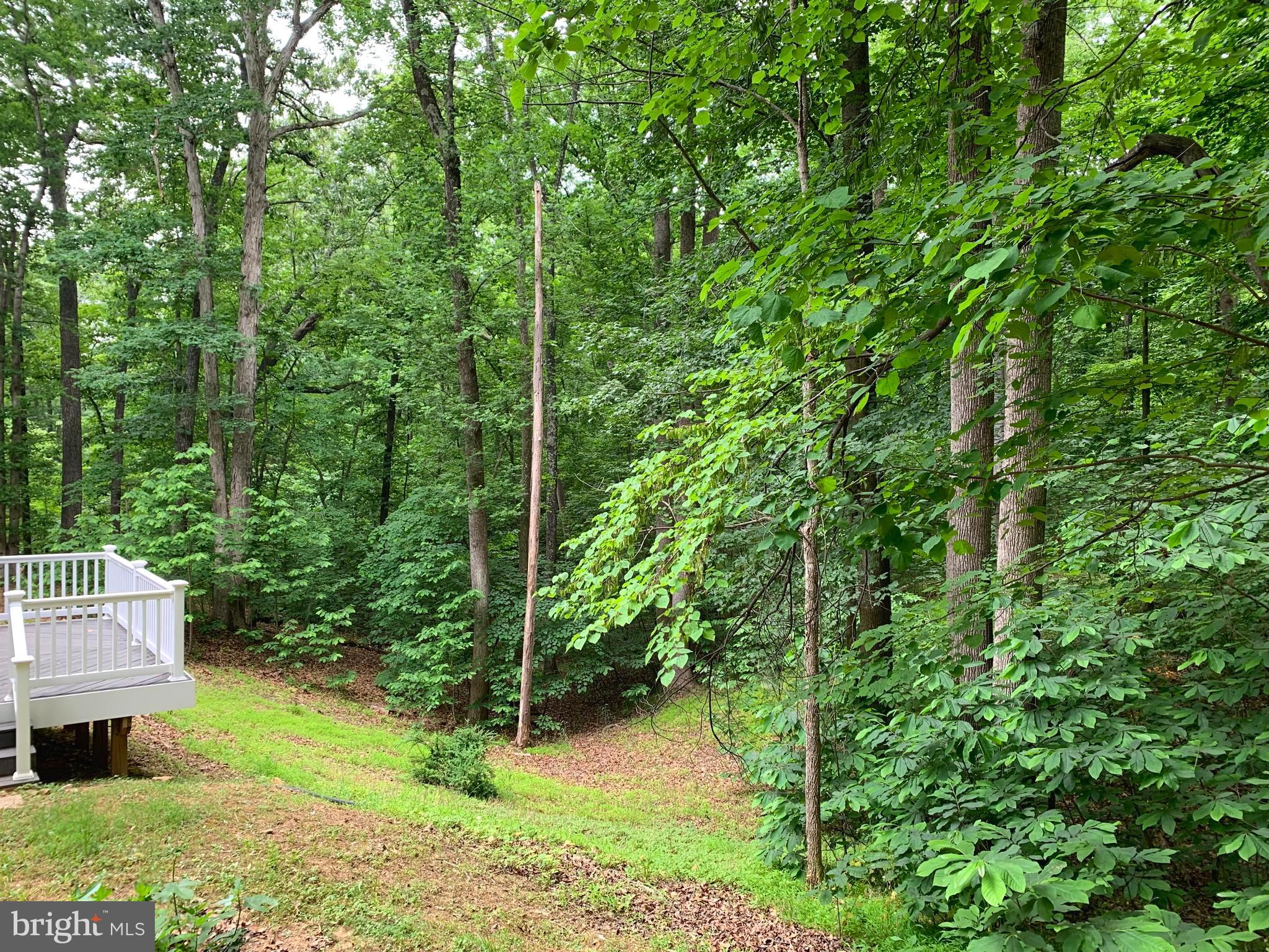 CALMES NECK ESTATES - Residential