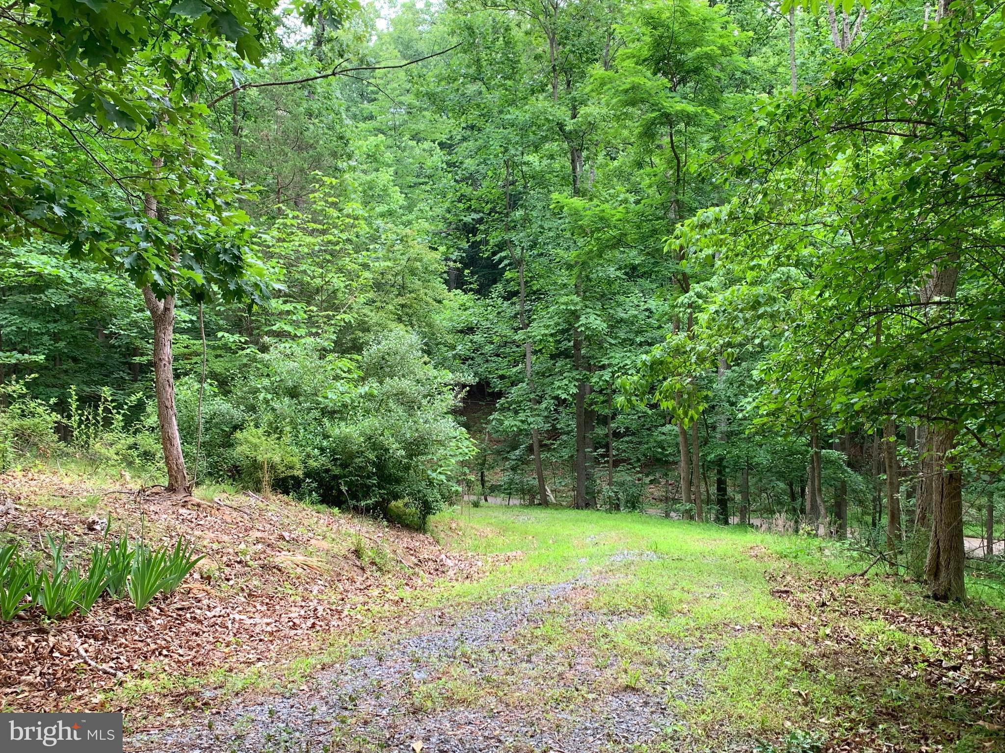 CALMES NECK ESTATES - Residential