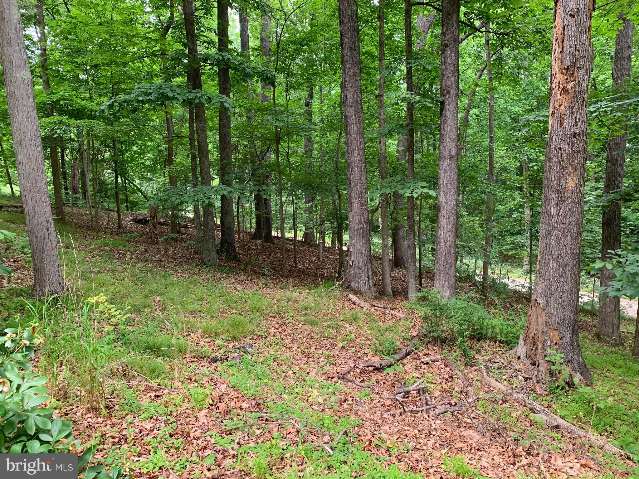 CALMES NECK ESTATES - Residential