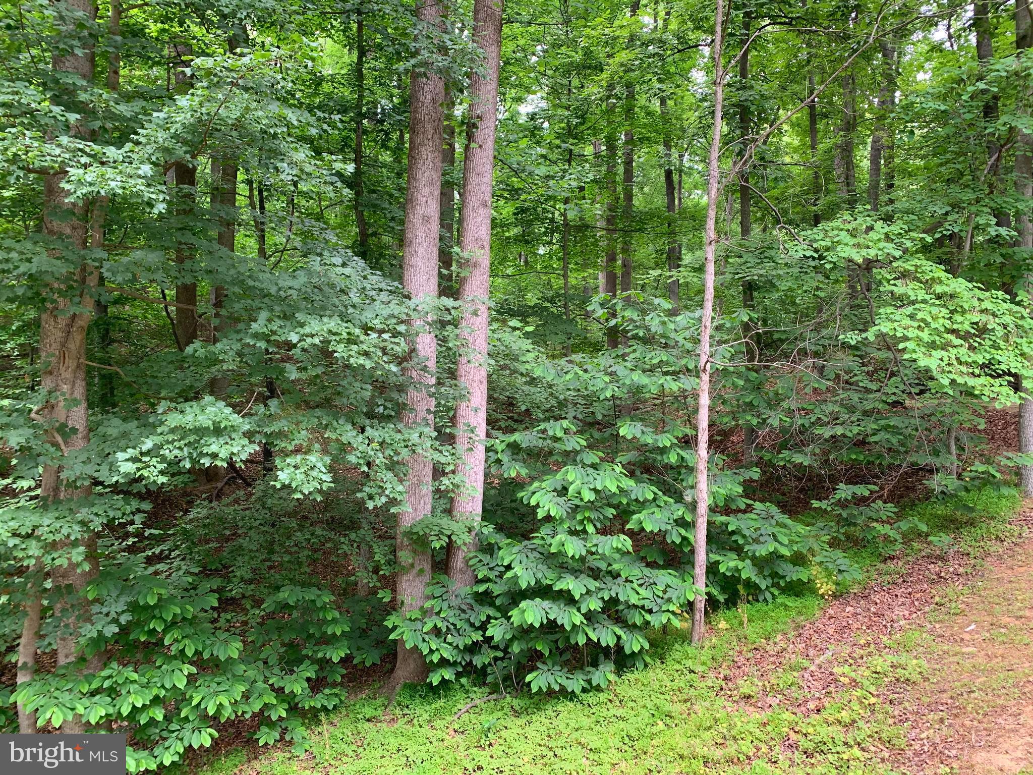 CALMES NECK ESTATES - Residential