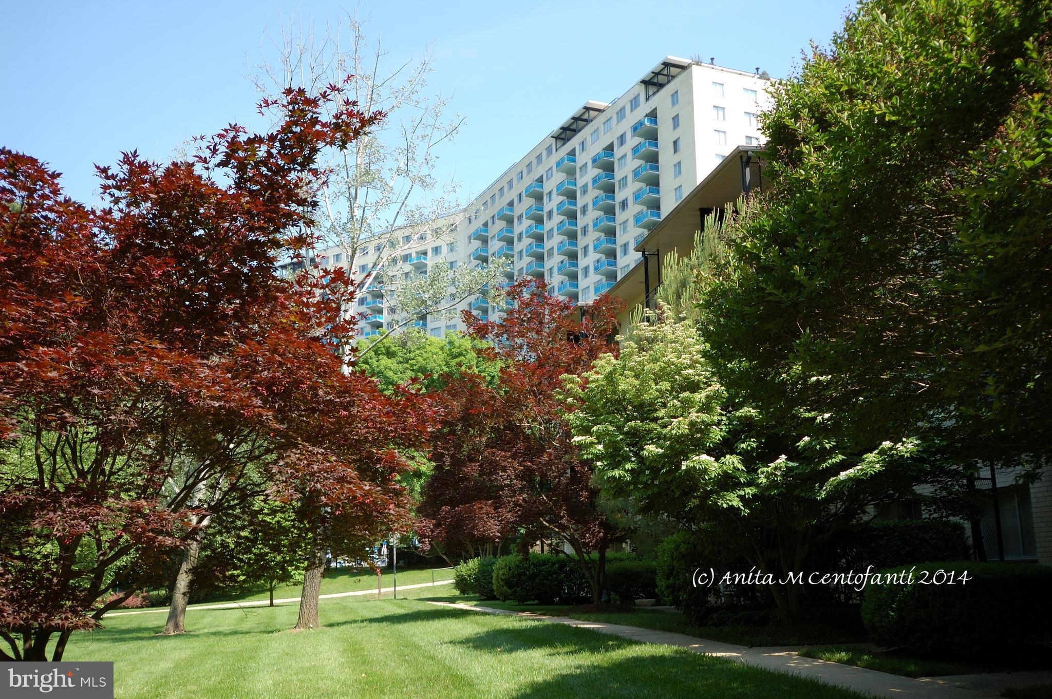 GROSVENOR PARK - Residential Lease