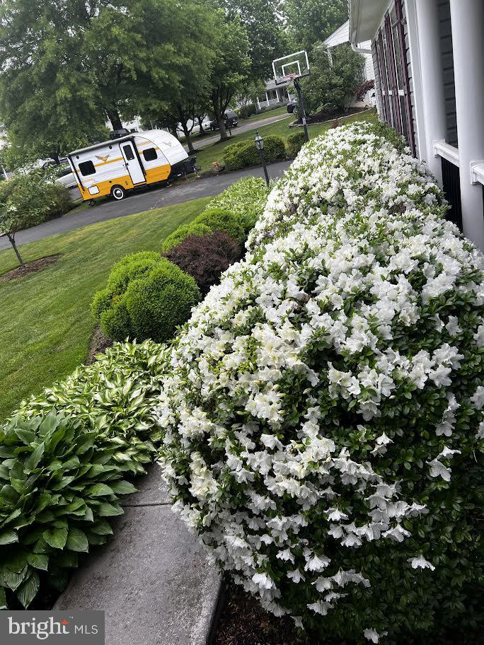 HIRST FARM - Residential