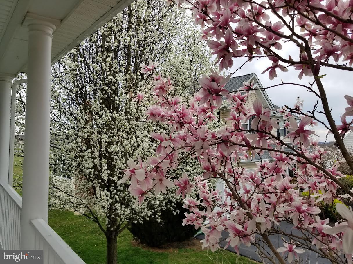 HIRST FARM - Residential