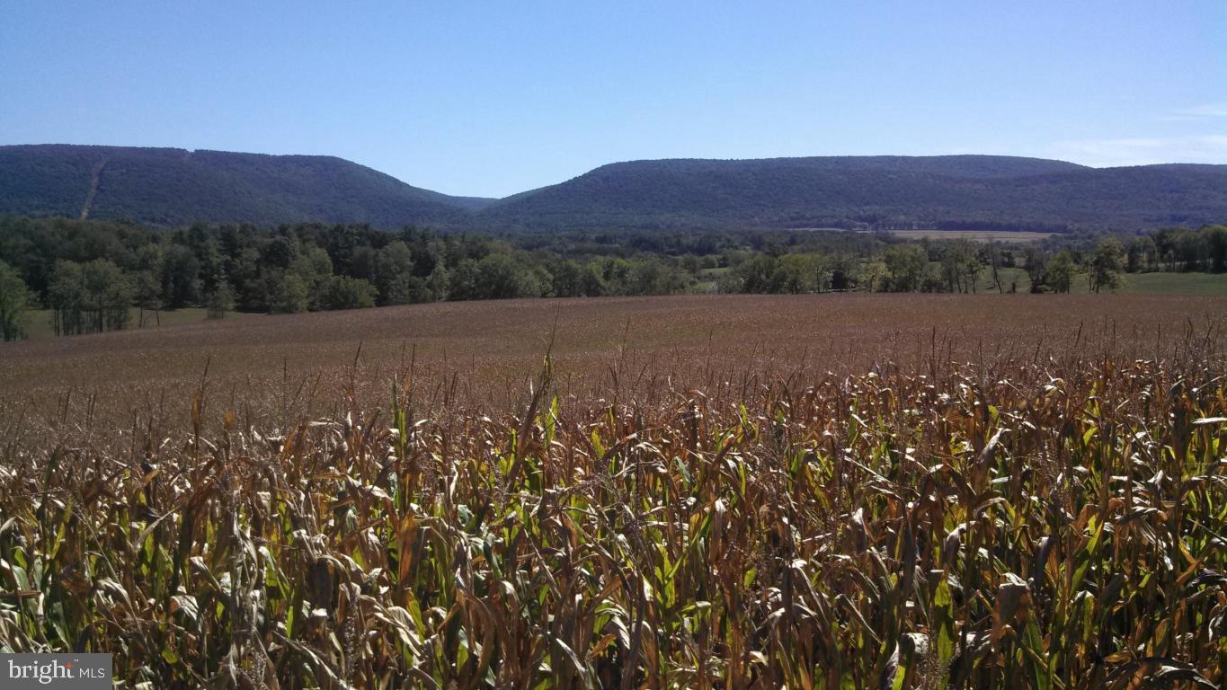 313 acres w/ 140 tillable acres of mostly Haggerstown Soil, 120 wooded acres, 35 pasture acres w/ beautiful setting with mountain views. Little Fishing Creek runs through the property. Mobile home with well & septic on property. Also, bank barn and equipment shed. Currently used for beef cattle. Located in great area, 20 miles from State College.