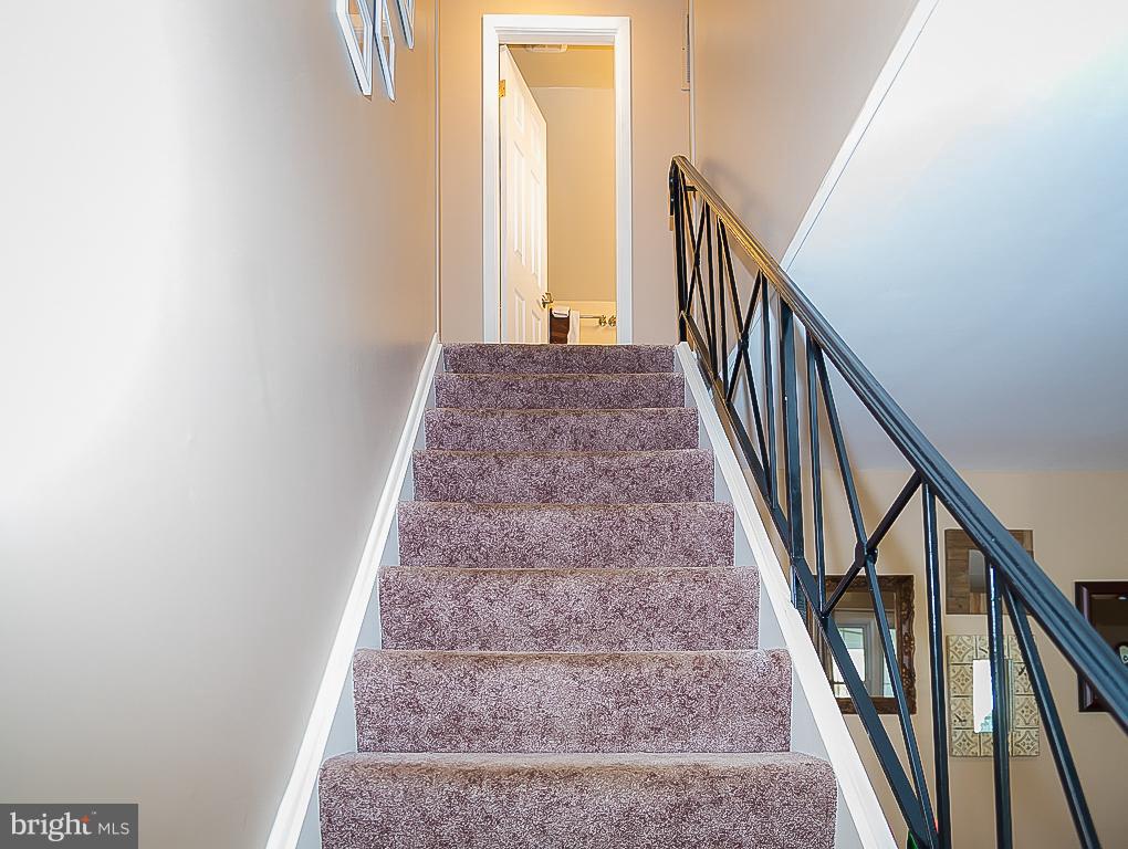 TULIP GROVE AT BELAIR - Residential