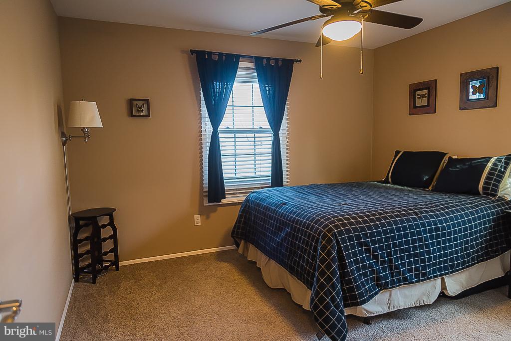 TULIP GROVE AT BELAIR - Residential