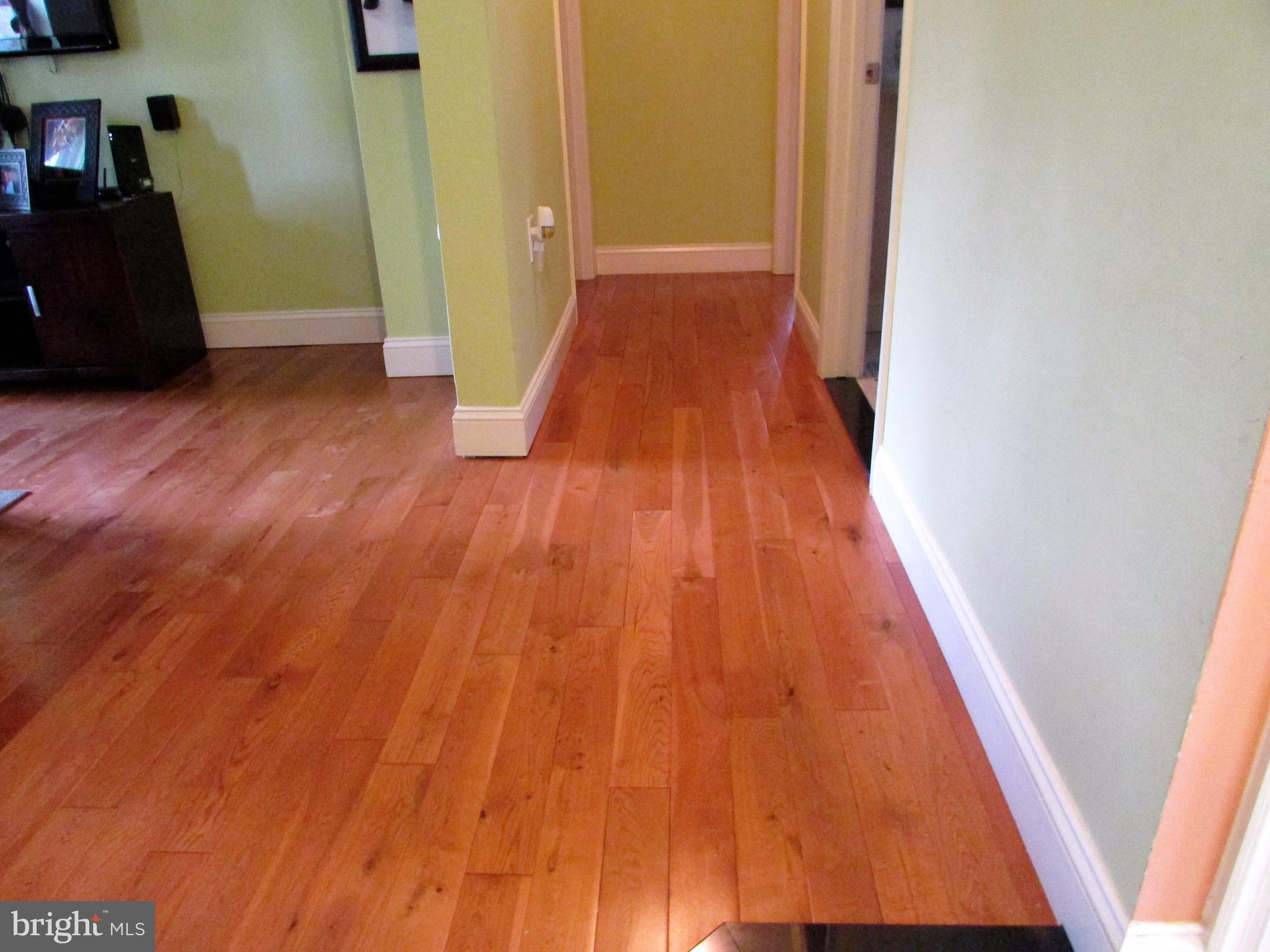 SUNNYSIDE/VASQUEZ - Residential Lease