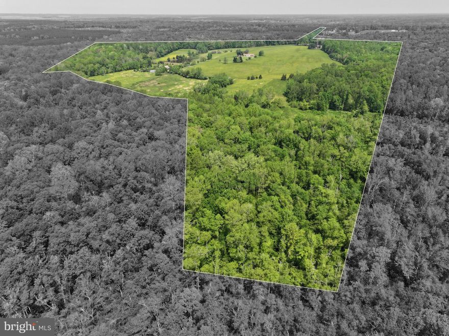 Legacy Estate on 174 Acres – Two Homes, Working Farm, Endless Possibilities in Scenic Spotsylvania

Discover a rare and remarkable opportunity to own a 174-acre legacy estate in the heart of Spotsylvania County, featuring two single-family homes, a fully operational working cattle farm, and wide-open potential for multigenerational living, investment, or peaceful retreat.

The primary residence, nestled on a beautifully landscaped 2-acre parcel, offers 4 bedrooms and 3.5 baths, with a thoughtful layout including a main-level bedroom, spacious common areas filled with natural light, and a partially finished basement ready for expansion, storage, or recreation. Perfect for families or those who desire flexible living, this home blends comfort, charm, and functionality.

Just steps away, the second home sits amid the 169-acre farm, a classic brick ranch with 2 bedrooms and 2.5 baths, a cozy wood-burning fireplace, a sunroom with sweeping countryside views, and a daylight walkout basement offering endless options for guest space or future finishing. Exceptionally maintained, it’s ideal for use as a guest house, farm manager’s residence, or second family dwelling.

The land itself is rich in features: rolling pastures, a shimmering pond, mature woods, multiple barns, a grain silo, a separate well house, and fenced acreage ready for livestock, crops, or horses. Whether you’re looking to expand an agricultural venture, create a family compound, or simply enjoy the tranquility of rural Virginia, this estate delivers.

This is more than a property—it’s a lifestyle. A place where dreams grow, legacies are built, and every sunset feels like home.