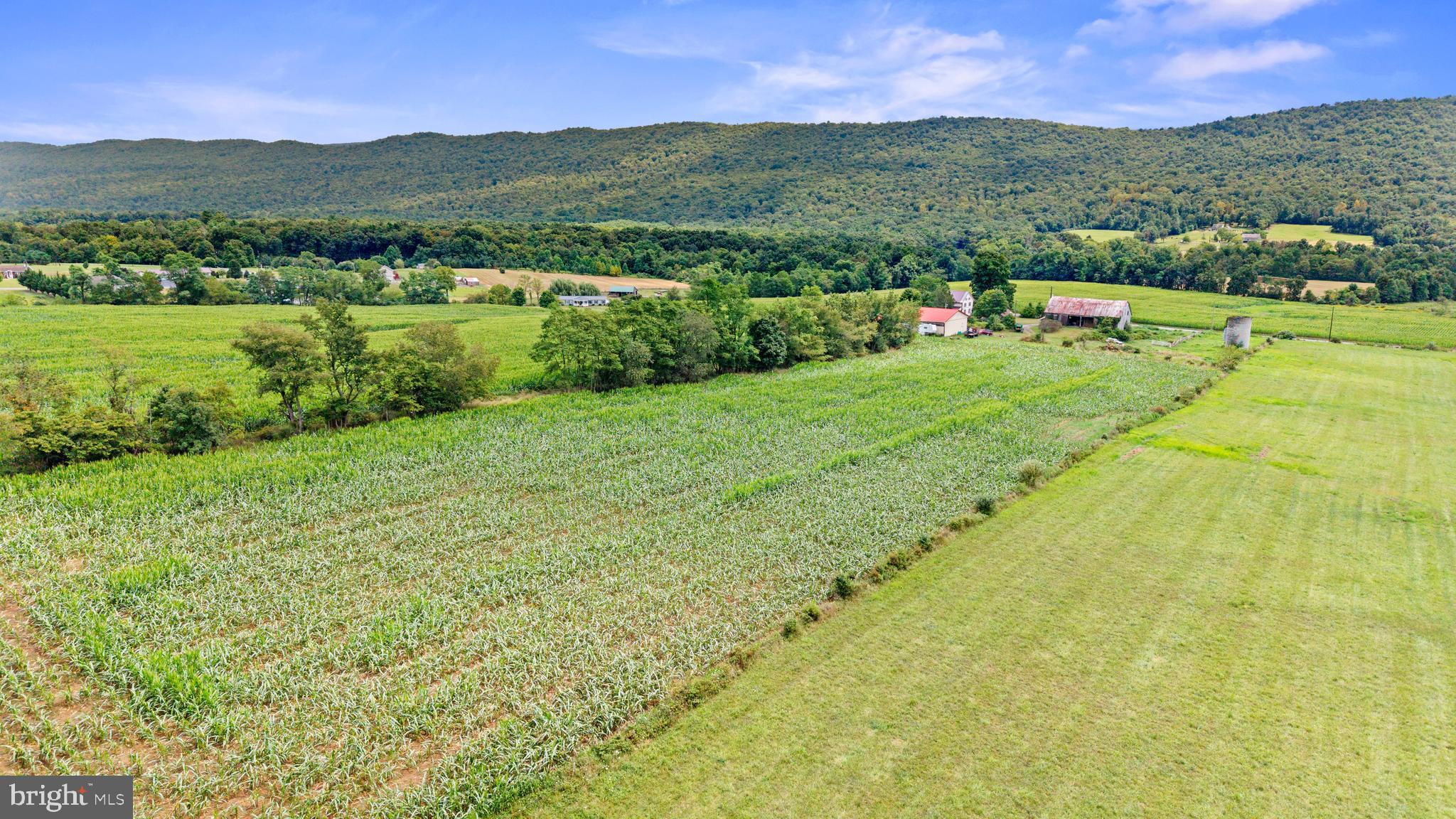 NONE AVAILABLE - Farm