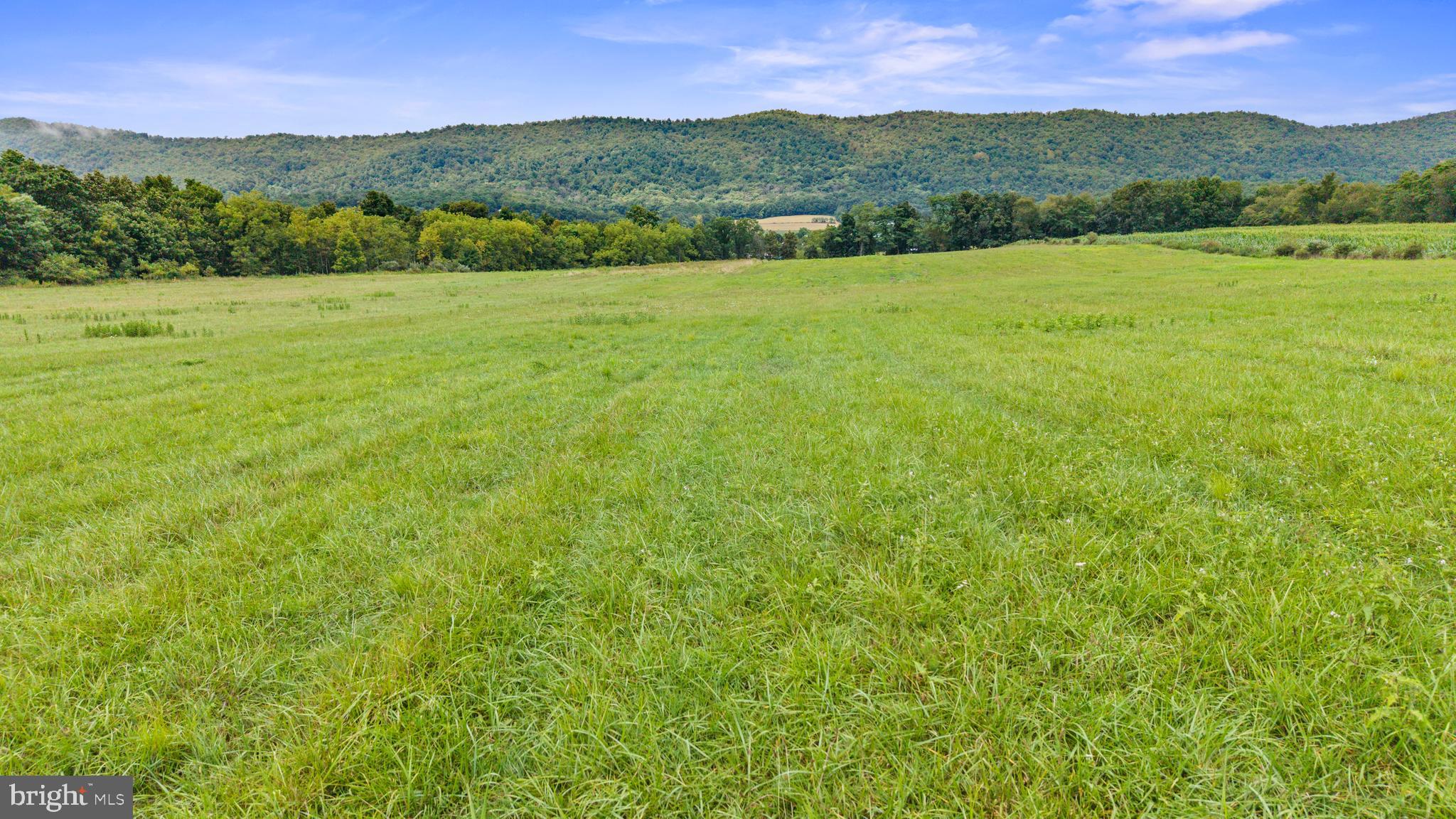 NONE AVAILABLE - Farm