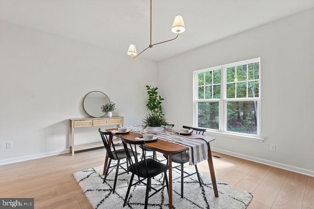 LAKE OF THE WOODS - Residential