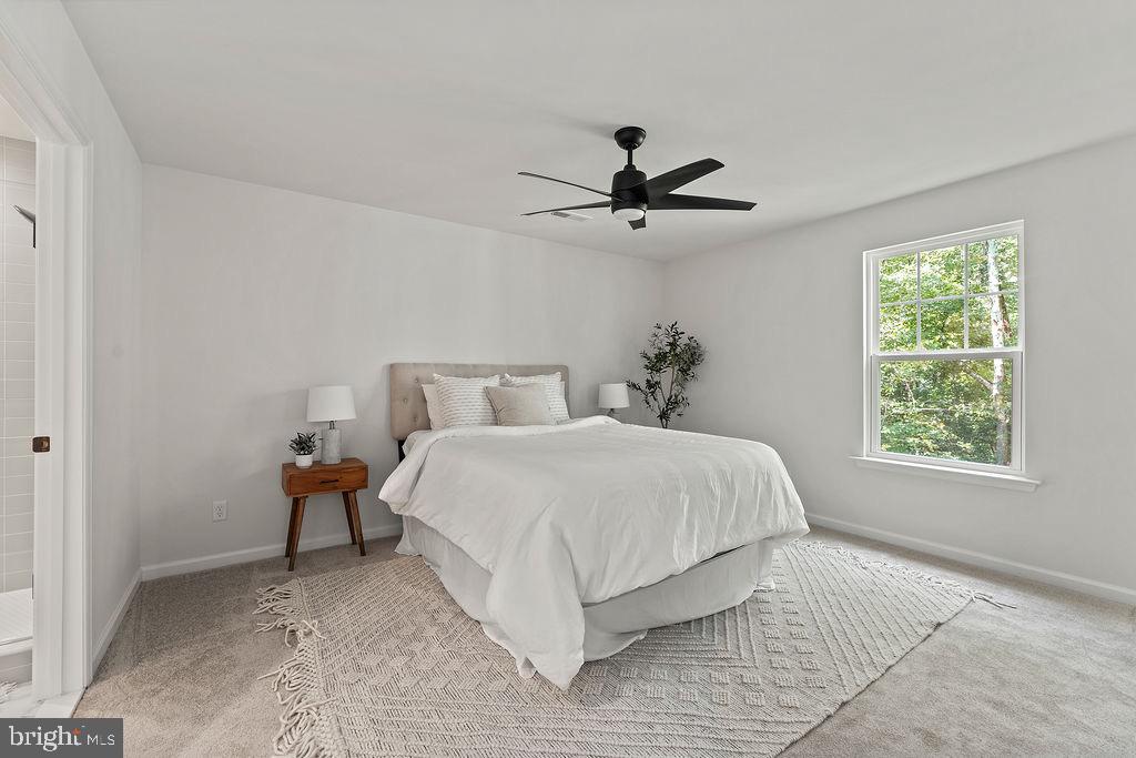 LAKE OF THE WOODS - Residential