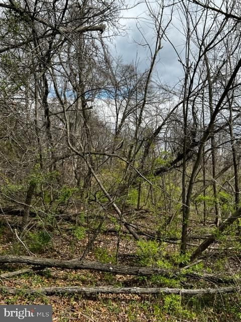 Vacant Land For Sale - Hill Road<br/> Prince Georges County, HYATTSVILLE, MD 20785