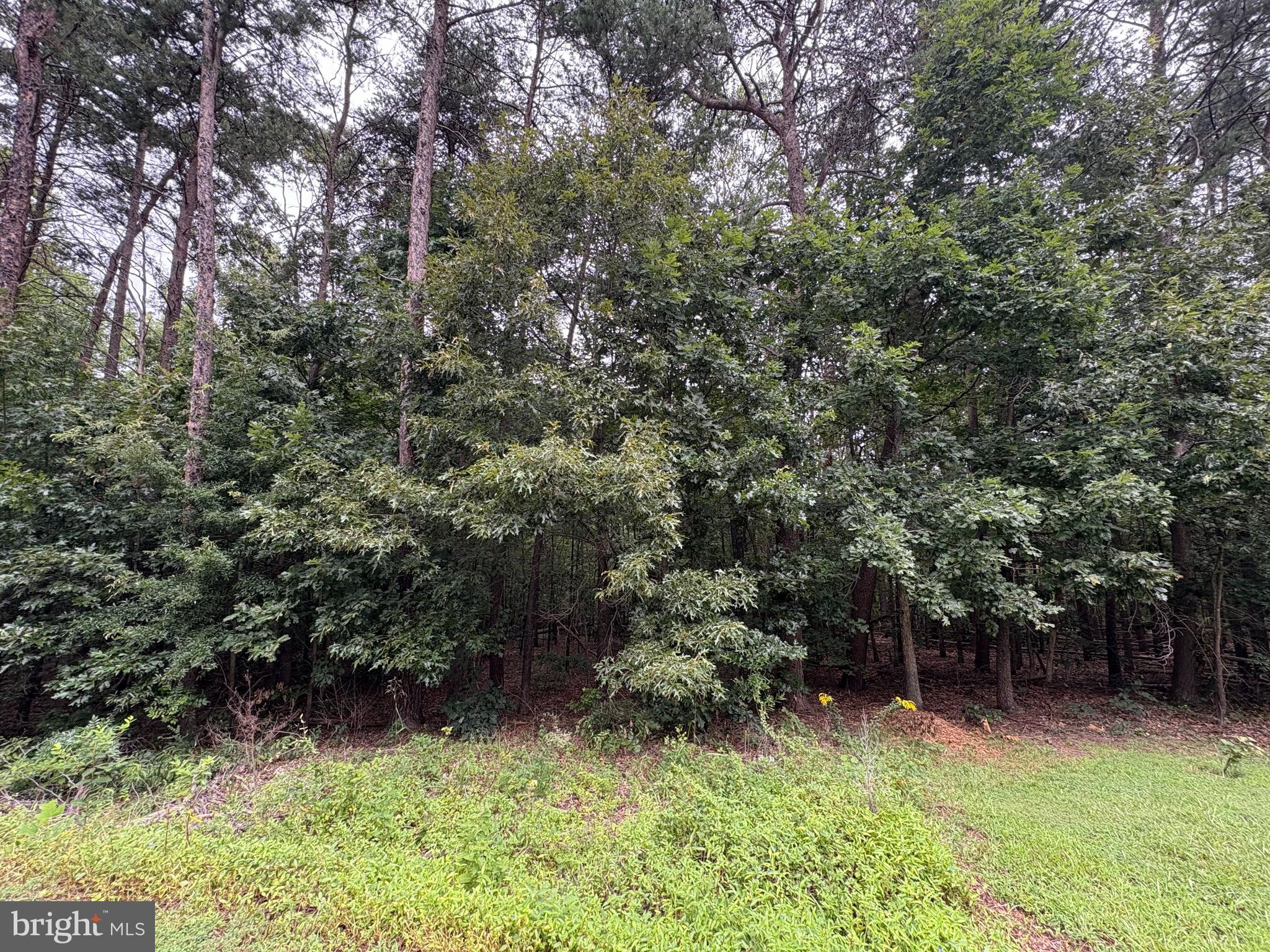 2319 VALENTINE DRIVE