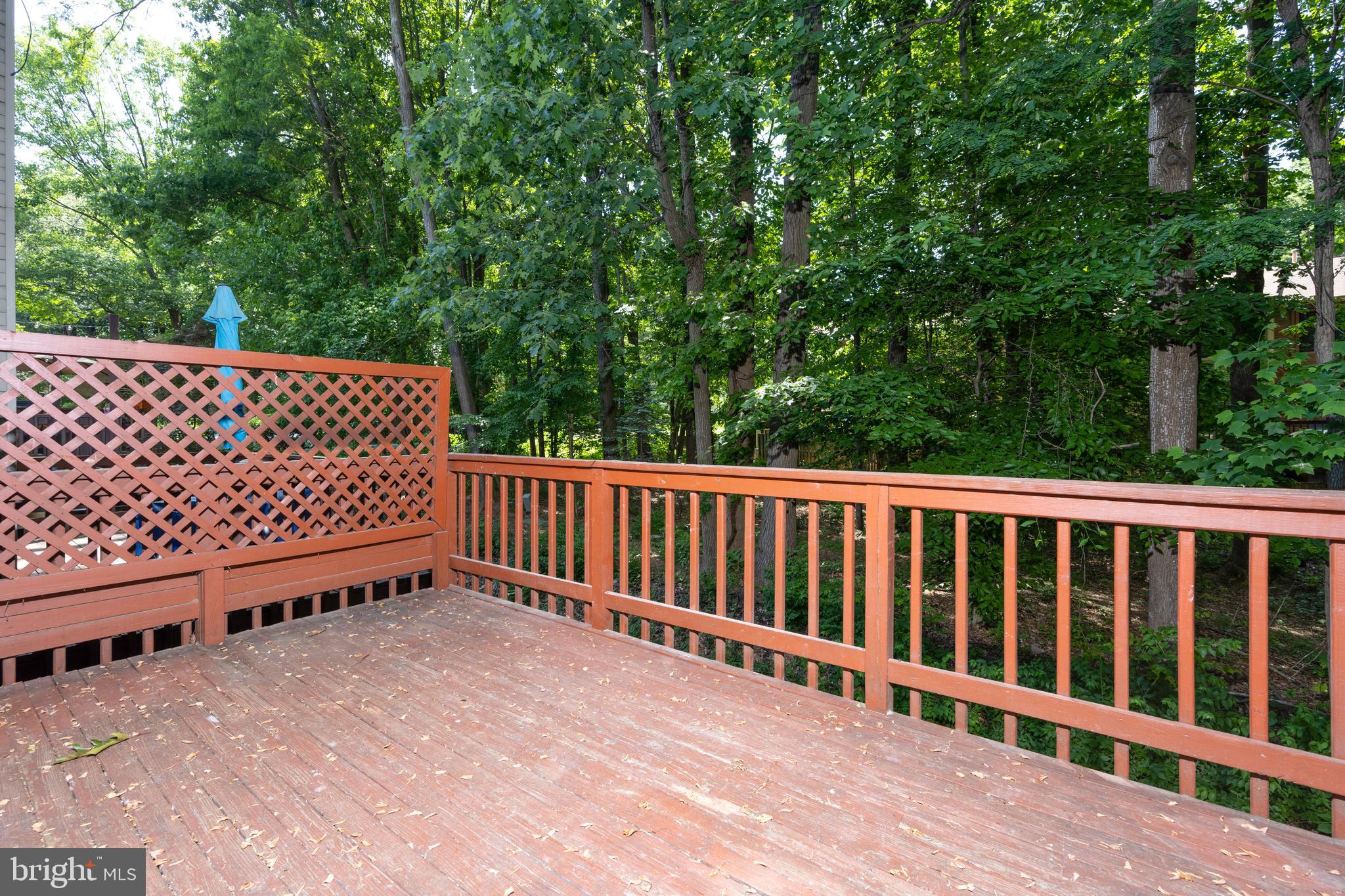 TIMBERLAWN - Residential Lease