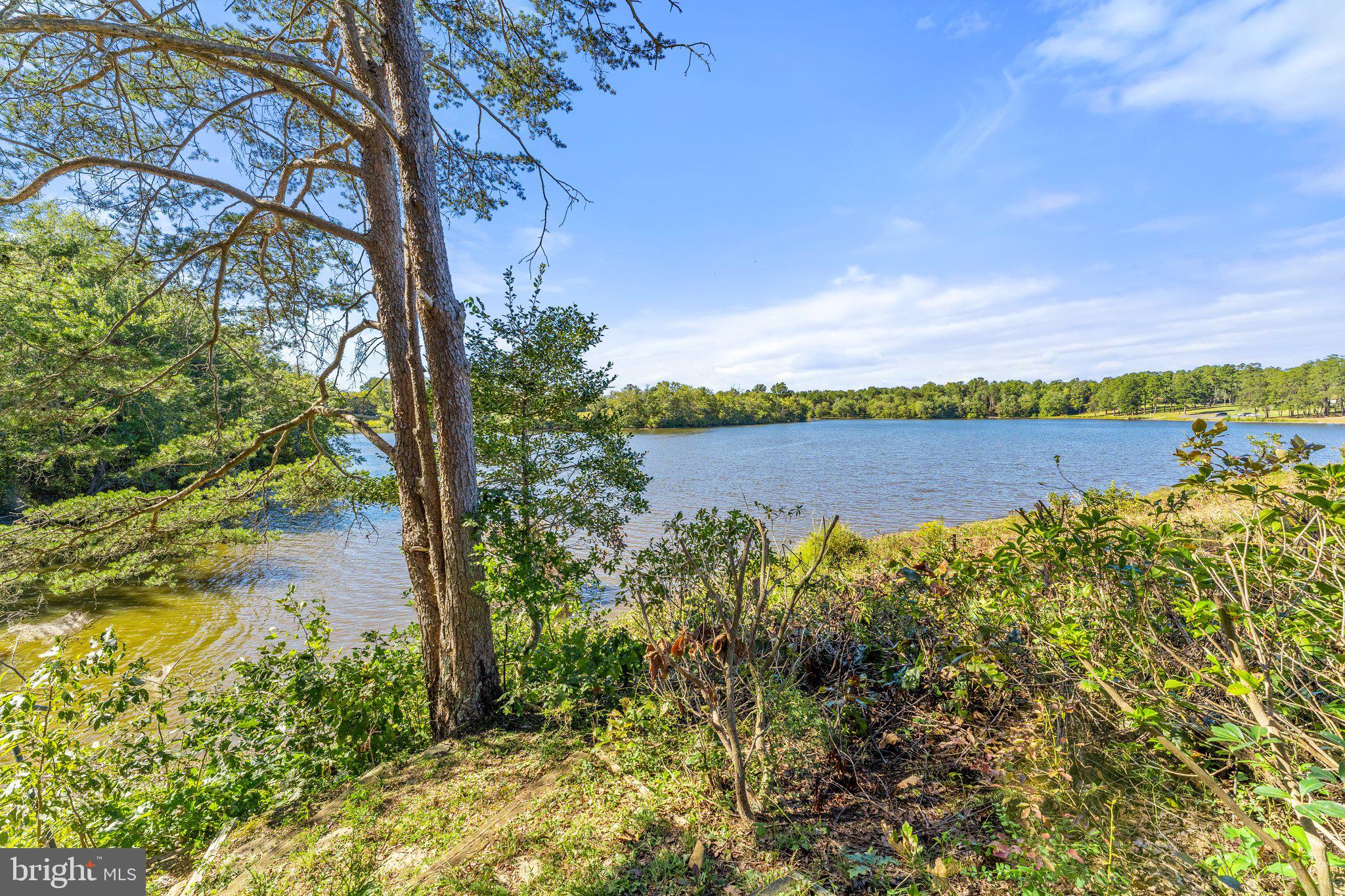 LAKEFRONT - Residential