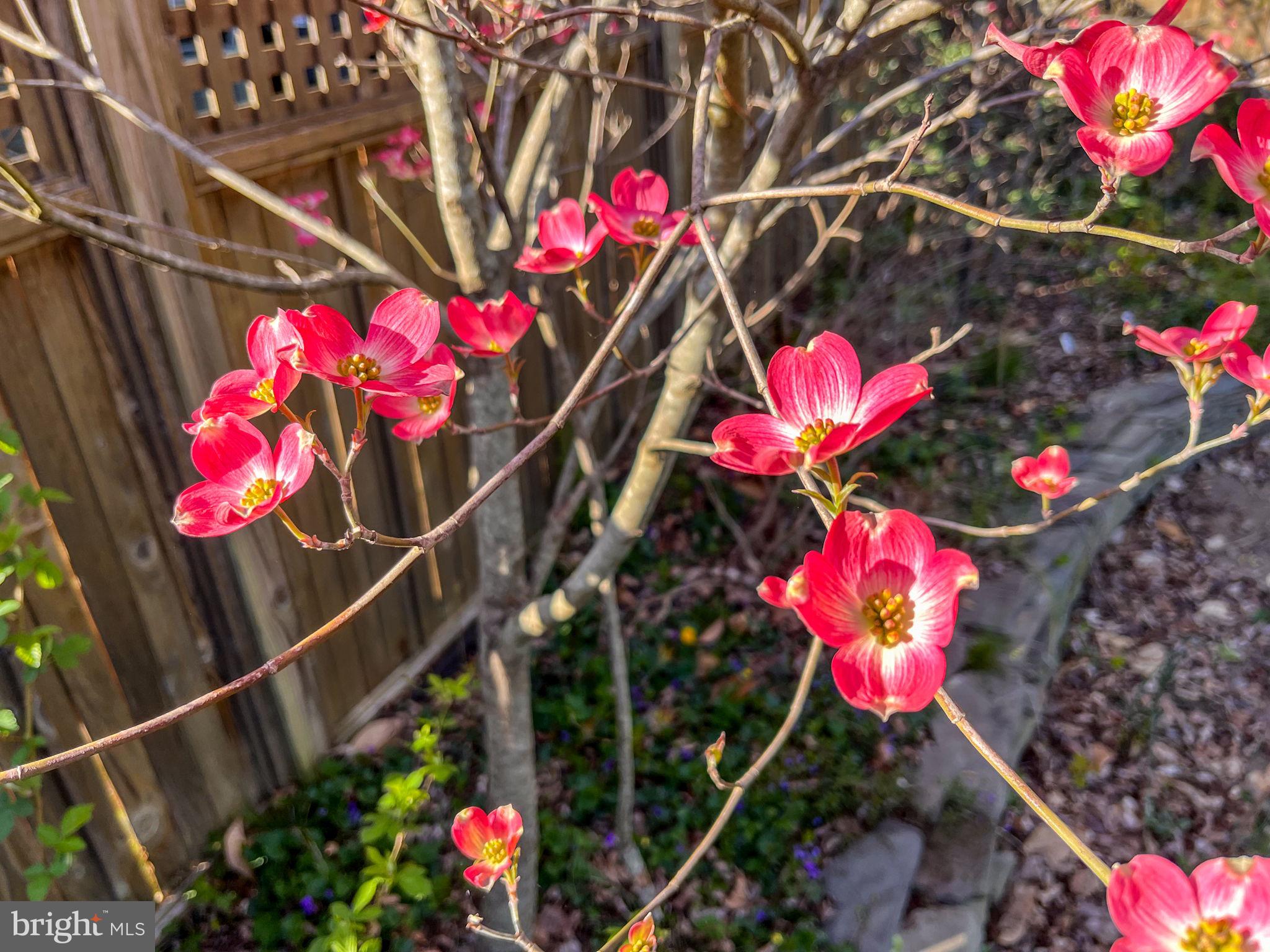 CLEARVIEW/CHATHAM HGTS - Residential