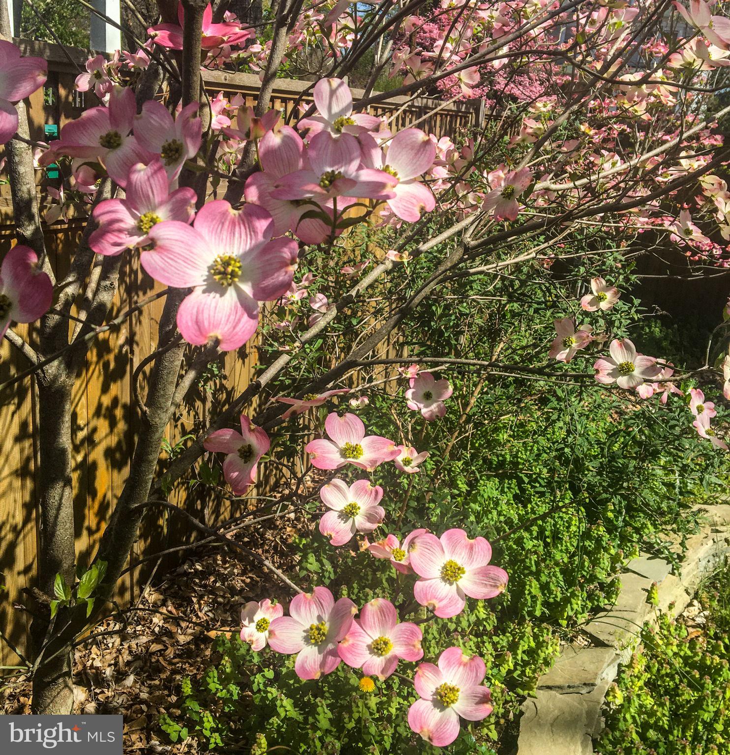 CLEARVIEW/CHATHAM HGTS - Residential