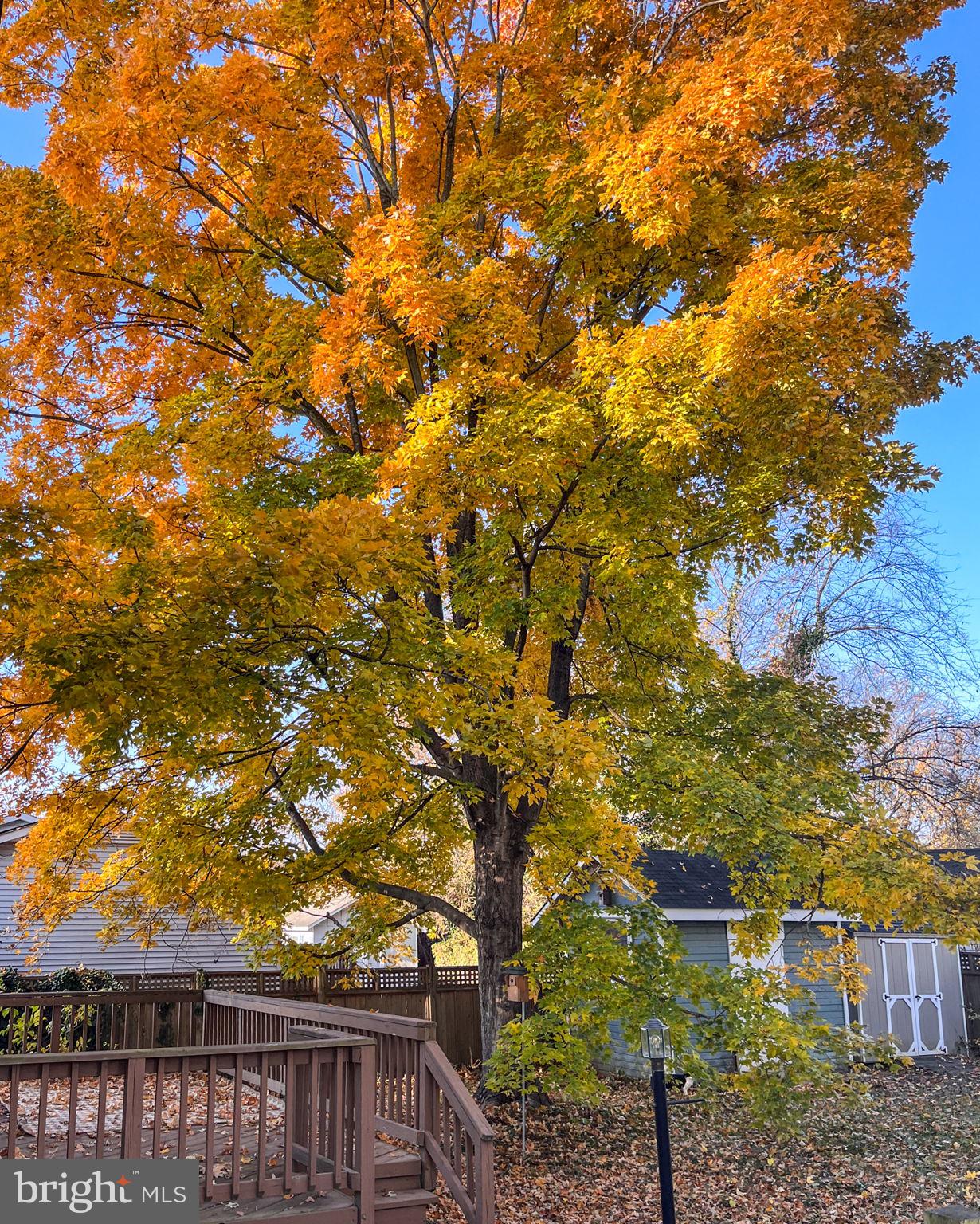 CLEARVIEW/CHATHAM HGTS - Residential