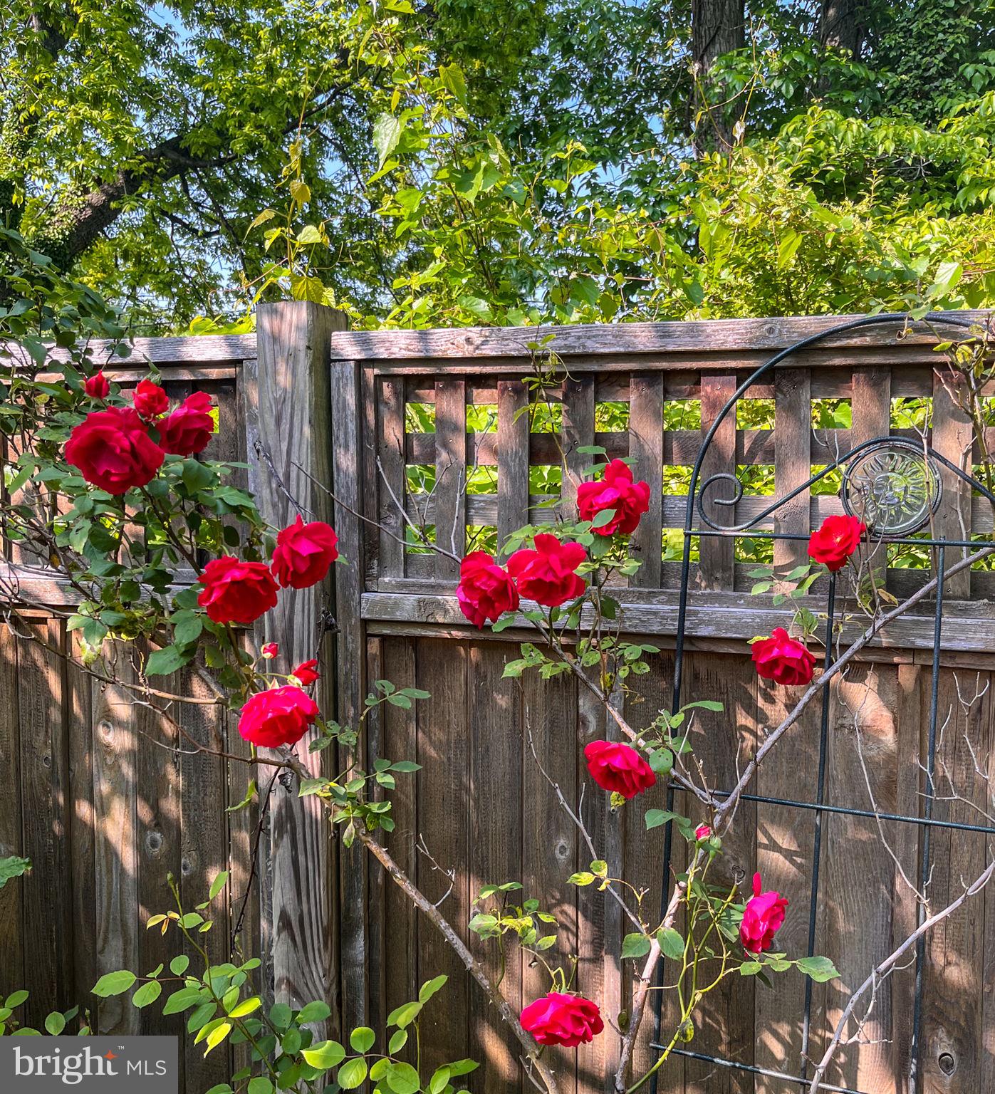 CLEARVIEW/CHATHAM HGTS - Residential