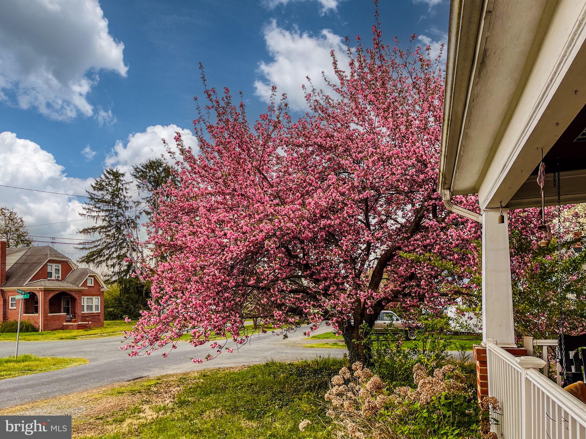 CLEARVIEW/CHATHAM HGTS - Residential
