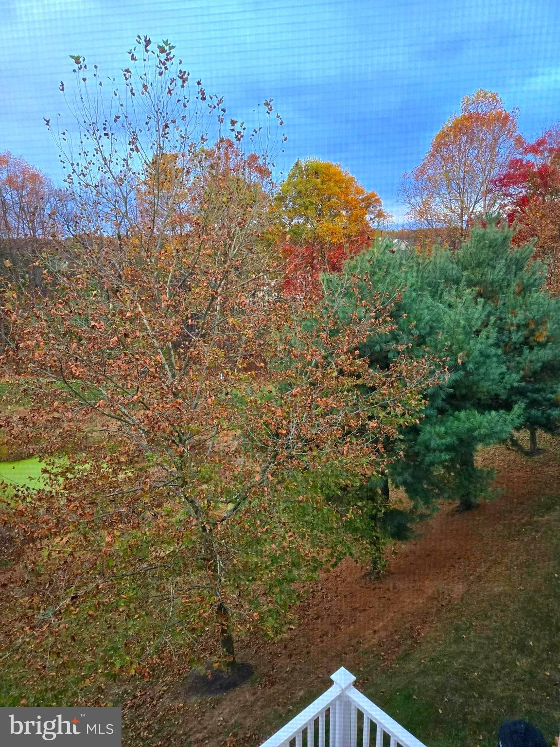 EMERSON - Residential