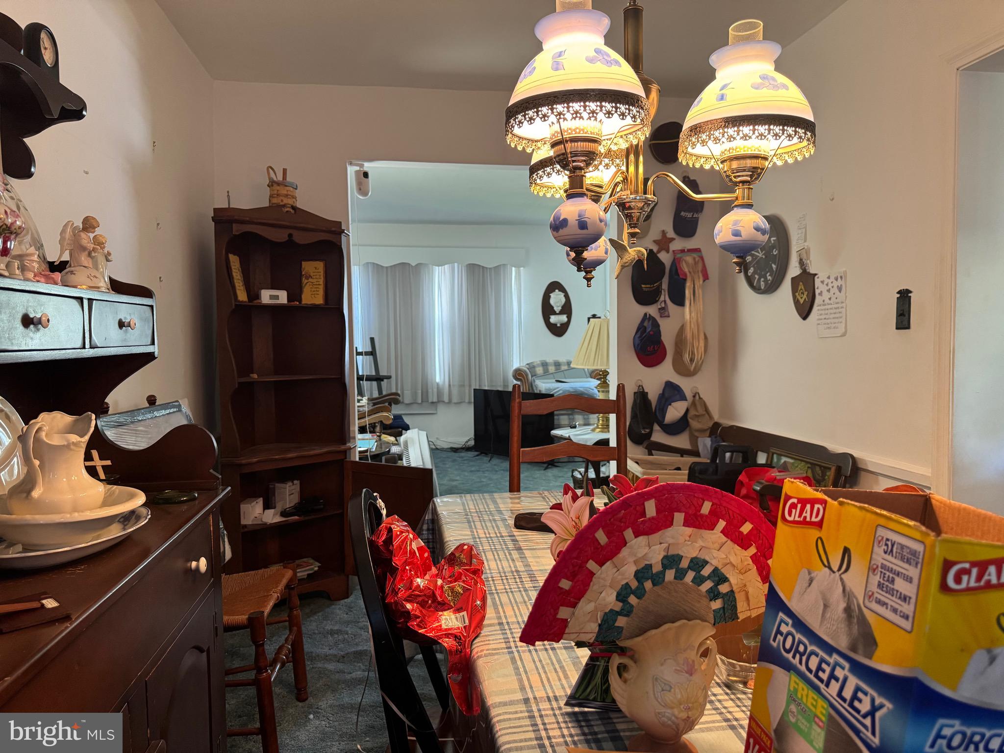 BROOKLYN PARK - Residential